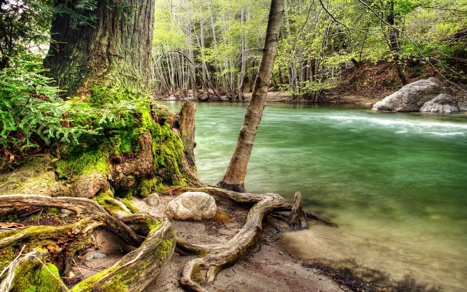 Congo river wallpapers, 4K HD, Congo river backgrounds, River, 1920x1200 HD Desktop