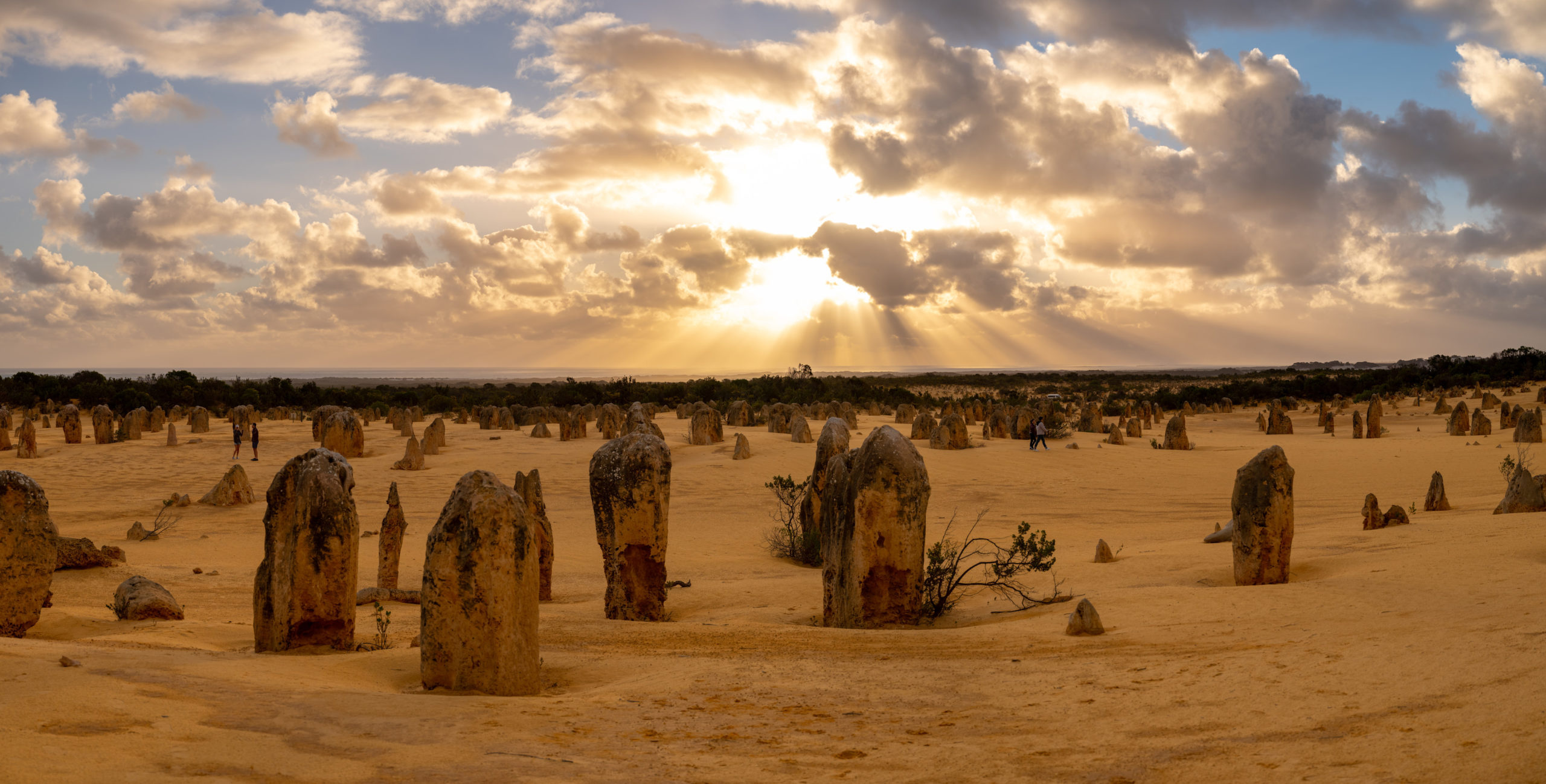 Nambung National Park, Pinnacles, Yanchep National Park, Lancelin, 2560x1300 HD Desktop