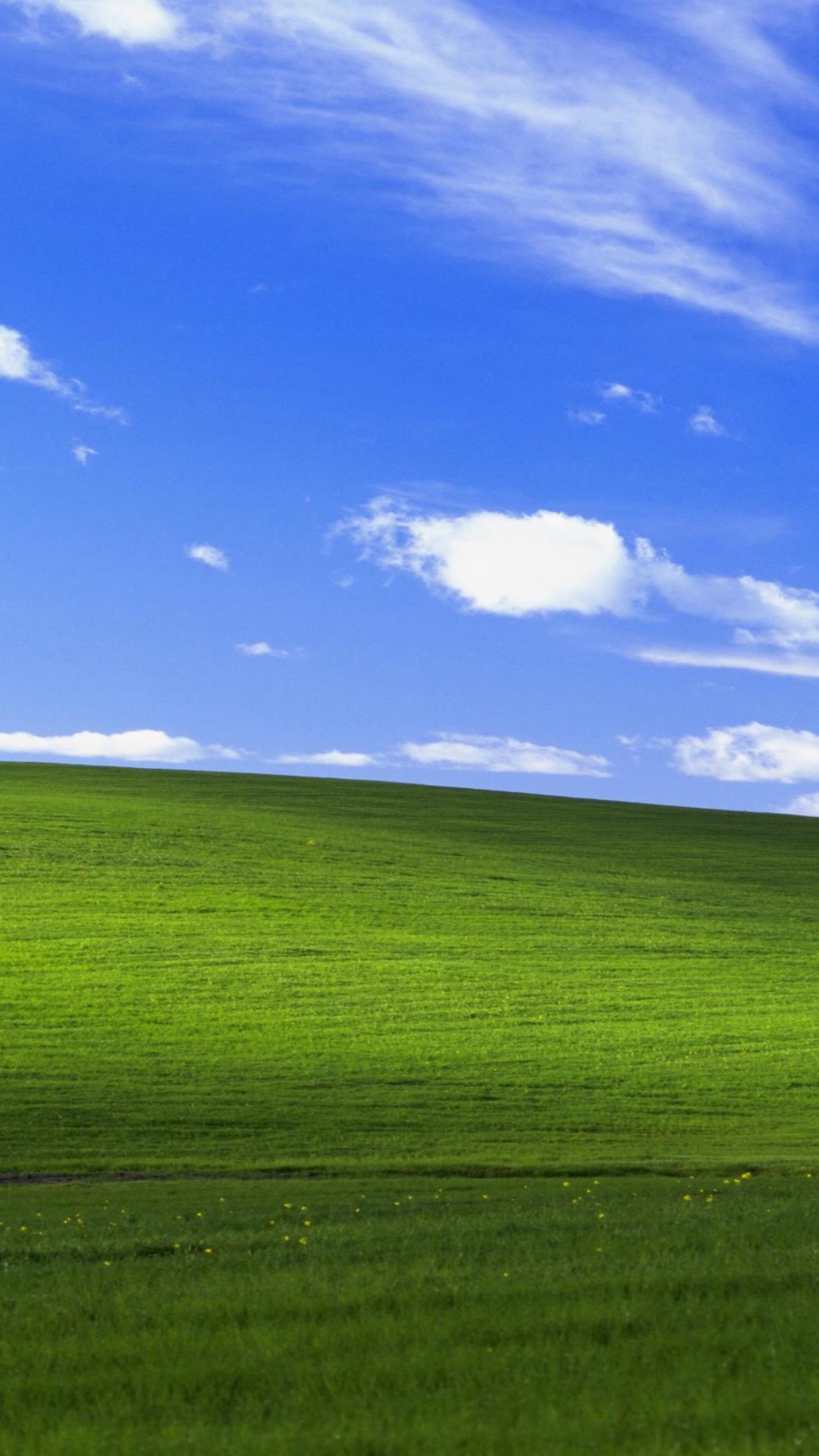 Windows XP bliss, 4K Sony Xperia, XZ Z5 Premium, HD 4K wallpapers, 2160x3840 4K Phone