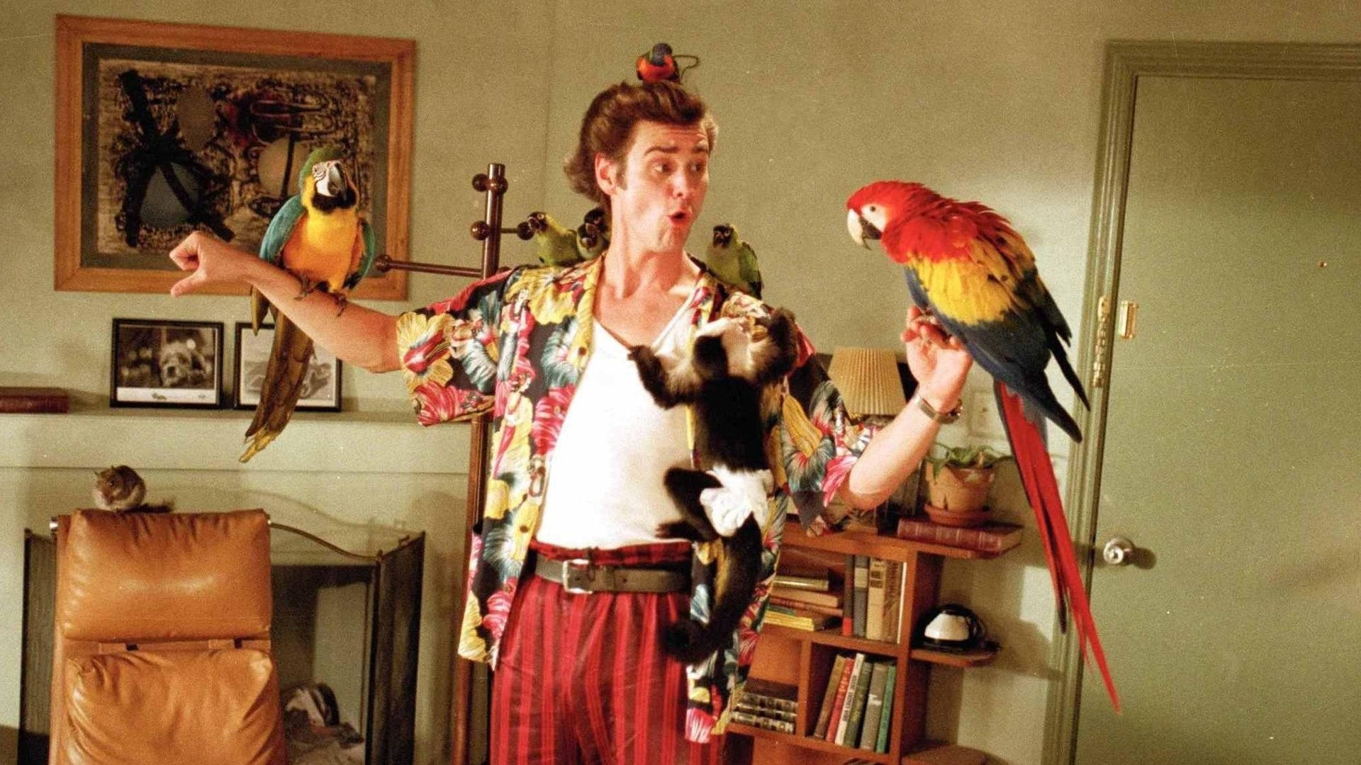 Jim Carrey, Ace Ventura, Pet detective, High-resolution, 1920x1080 Full HD Desktop