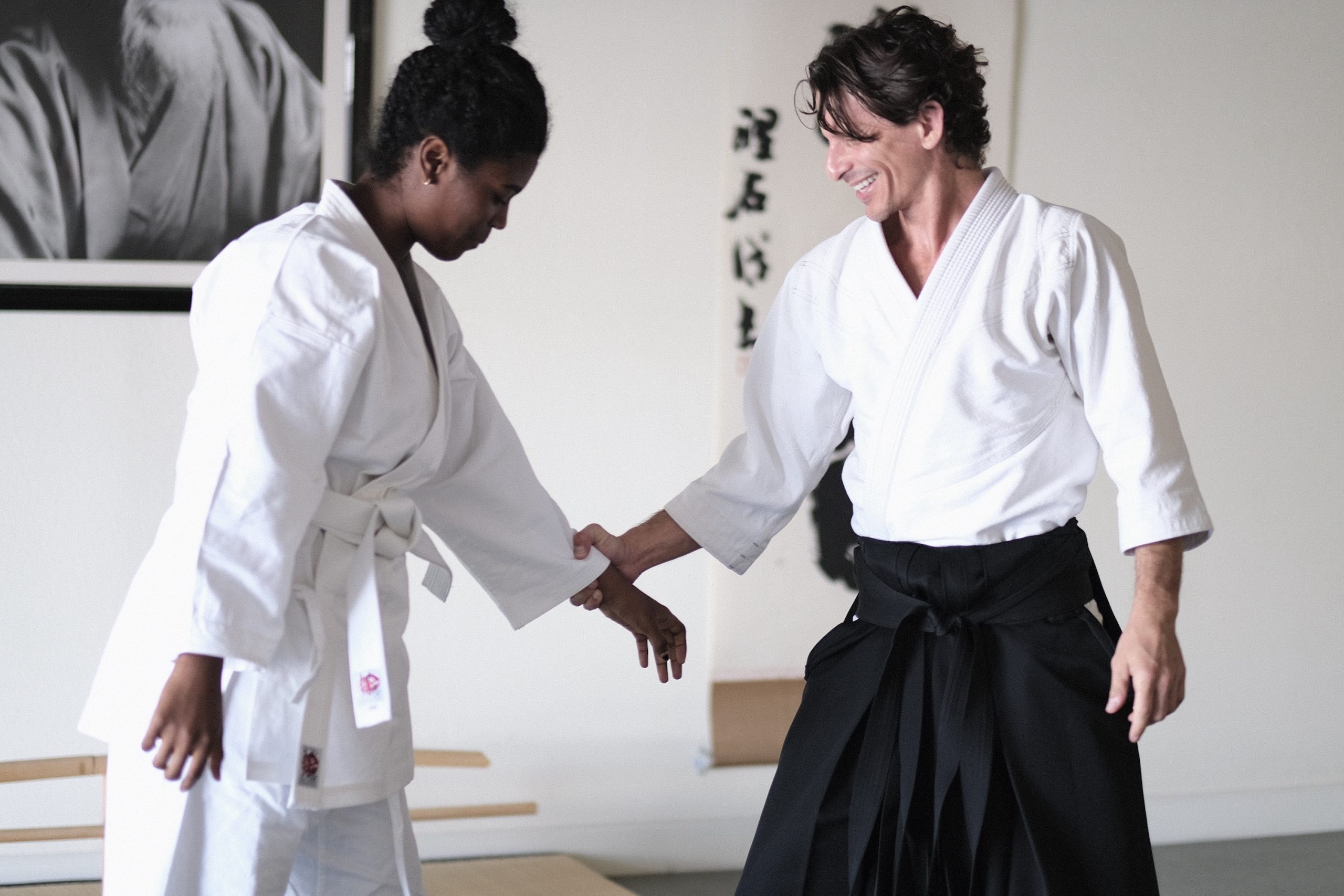 Aikido demographics, Aikido journal, 2560x1710 HD Desktop