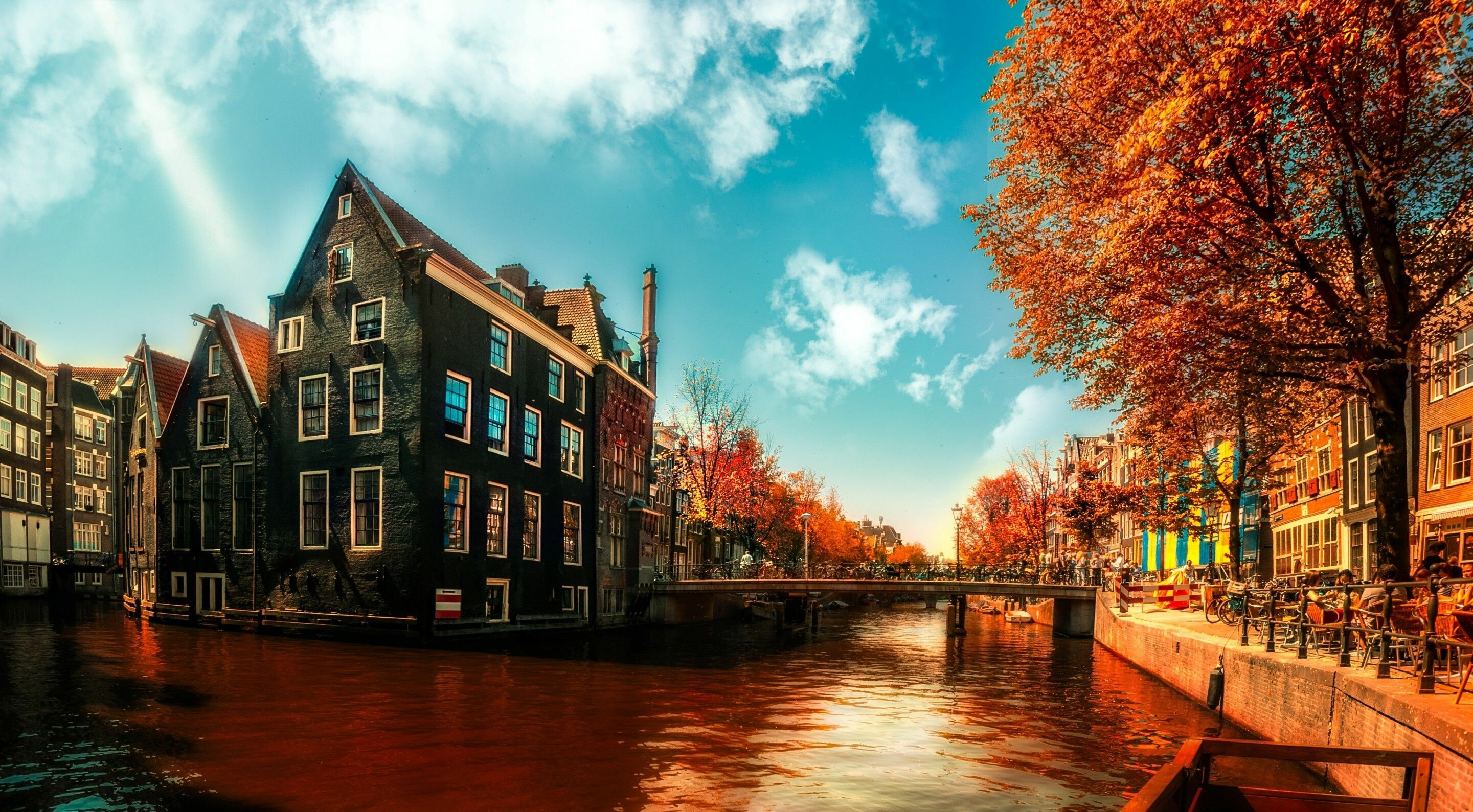 Amsterdam autumn, Colorful leaves, Seasonal beauty, Dutch city, 2890x1590 HD Desktop