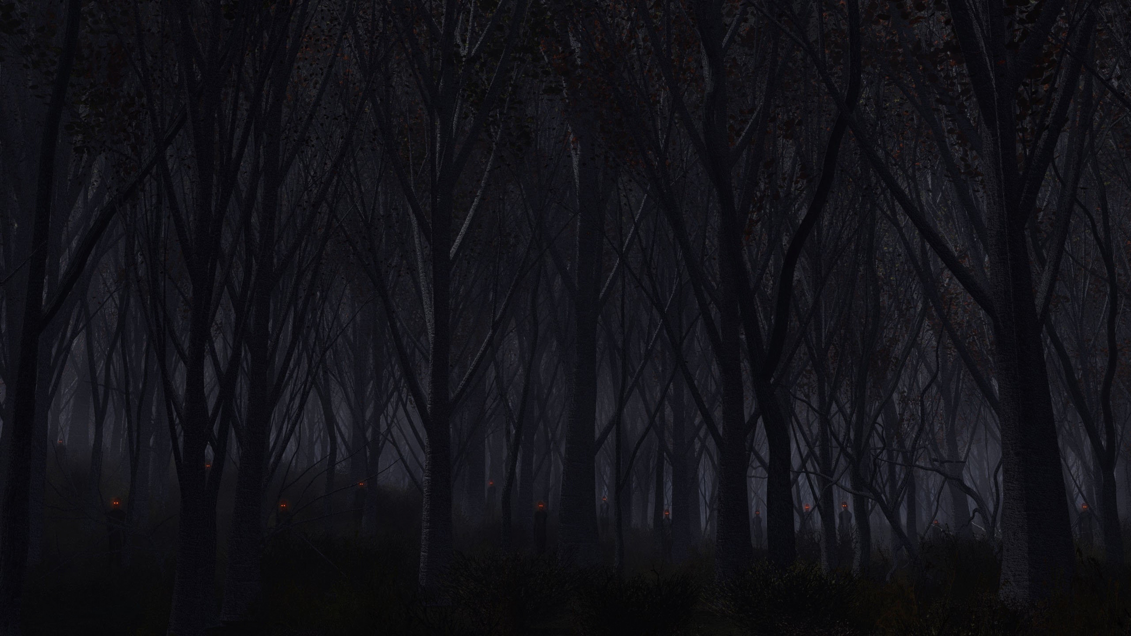 Forest, Dark Wallpaper, 3840x2160 4K Desktop