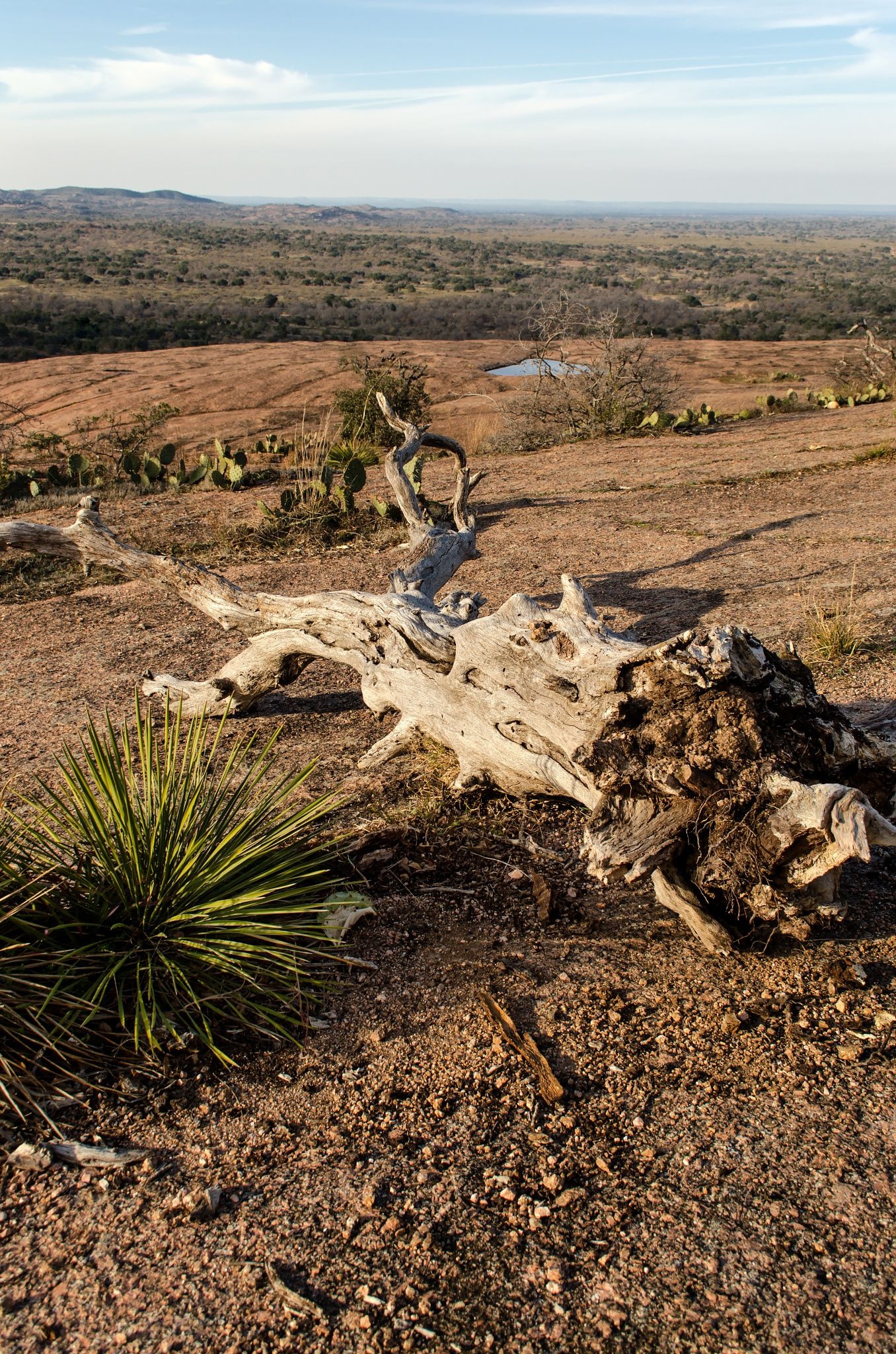 Desert landscape in Texas Hill Country, Scenic beauty, Unique geography, Desert photography, 1360x2050 HD Phone