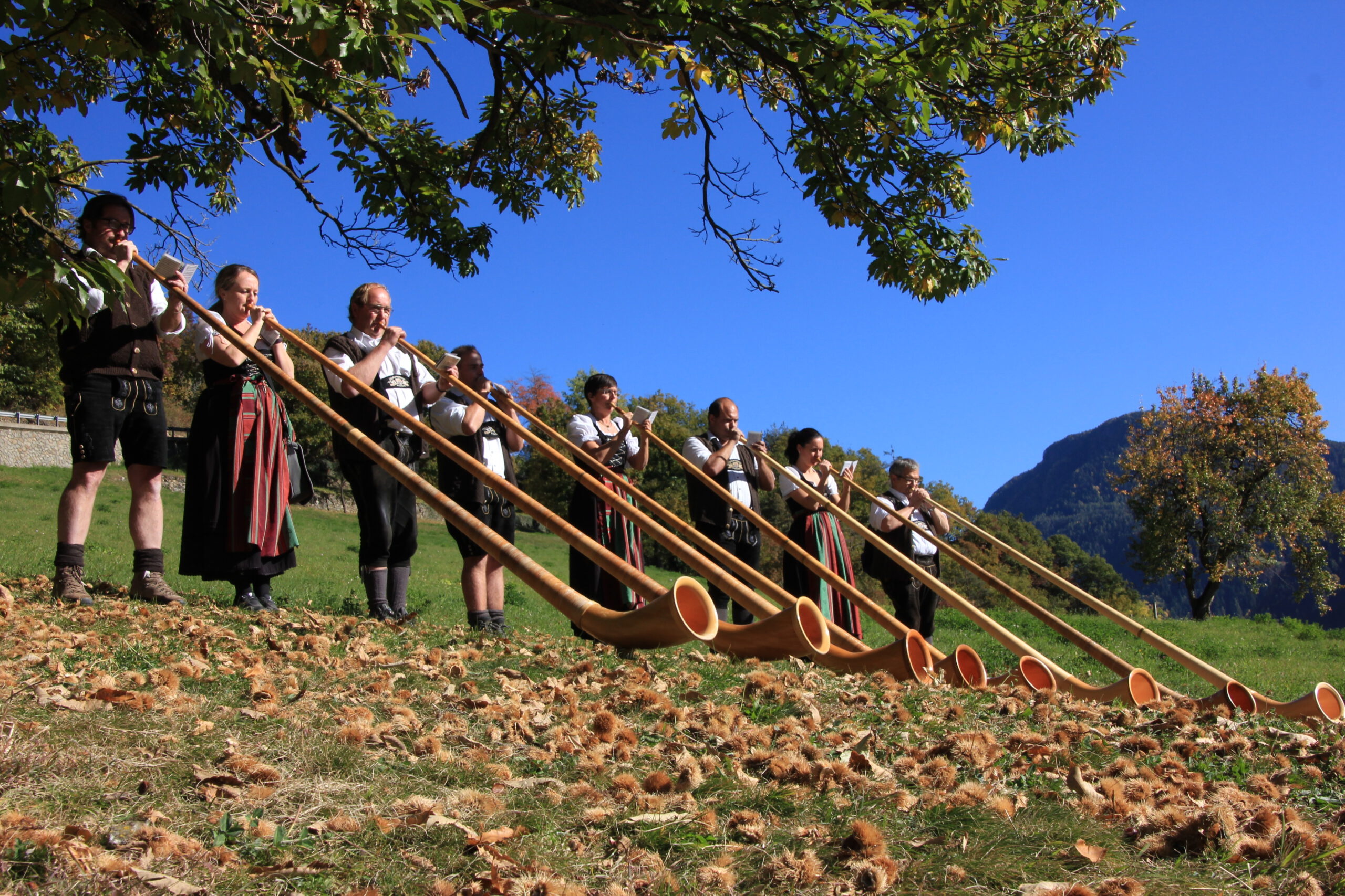 Alphorngruppe eisenberg eine, Andere wordpress site, Alphorn experience, Swiss customs, 2560x1710 HD Desktop