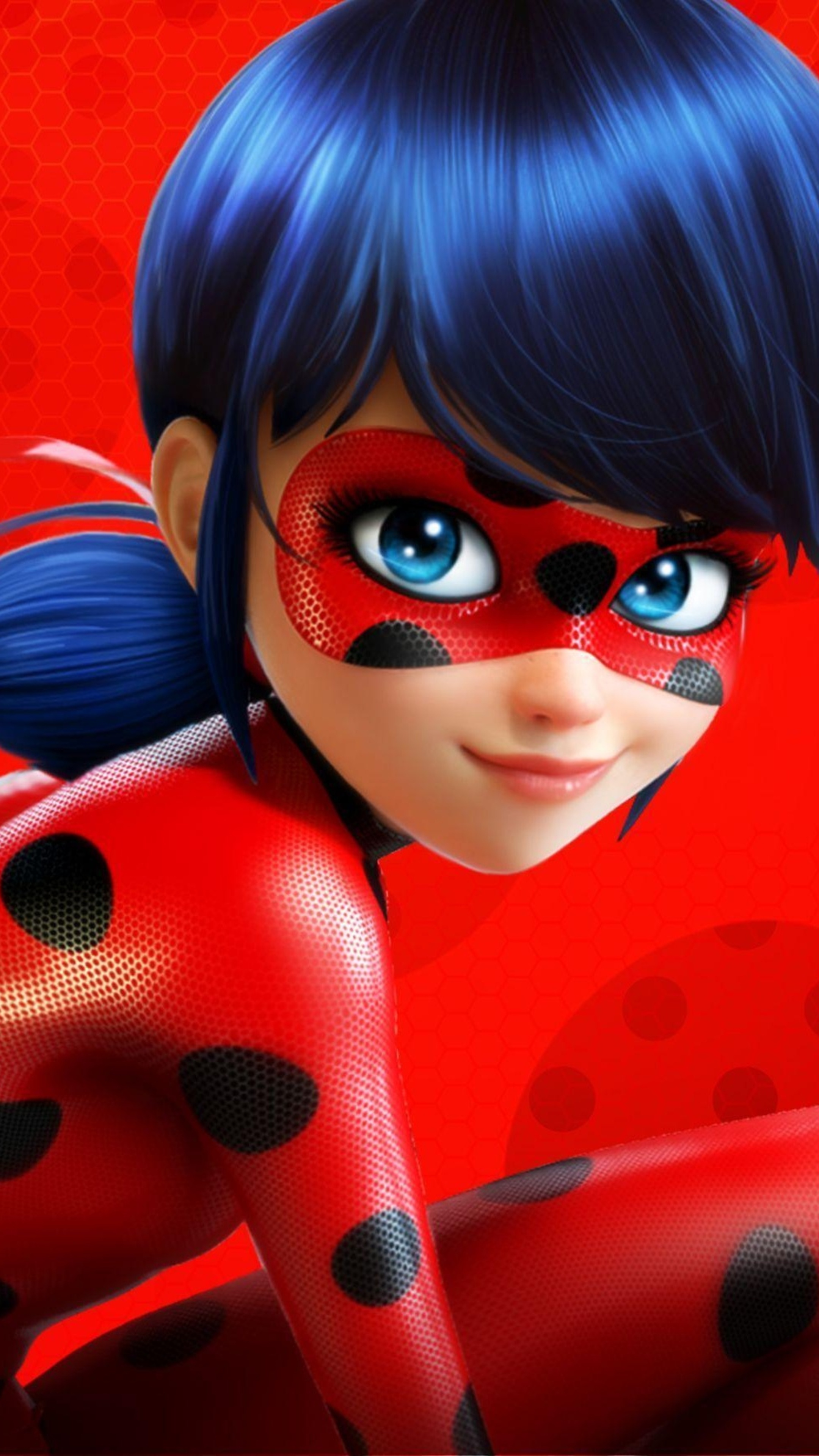 Ladybug and Cat Noir