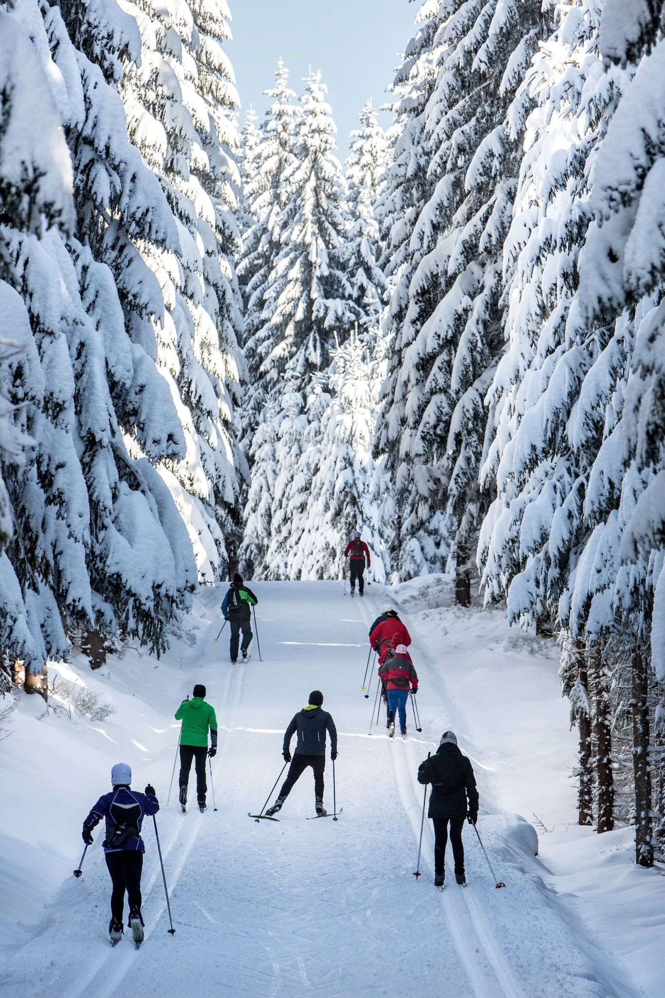 Cross-country skiing, Secret spot, Bohemia, New York Times, 1370x2050 HD Phone