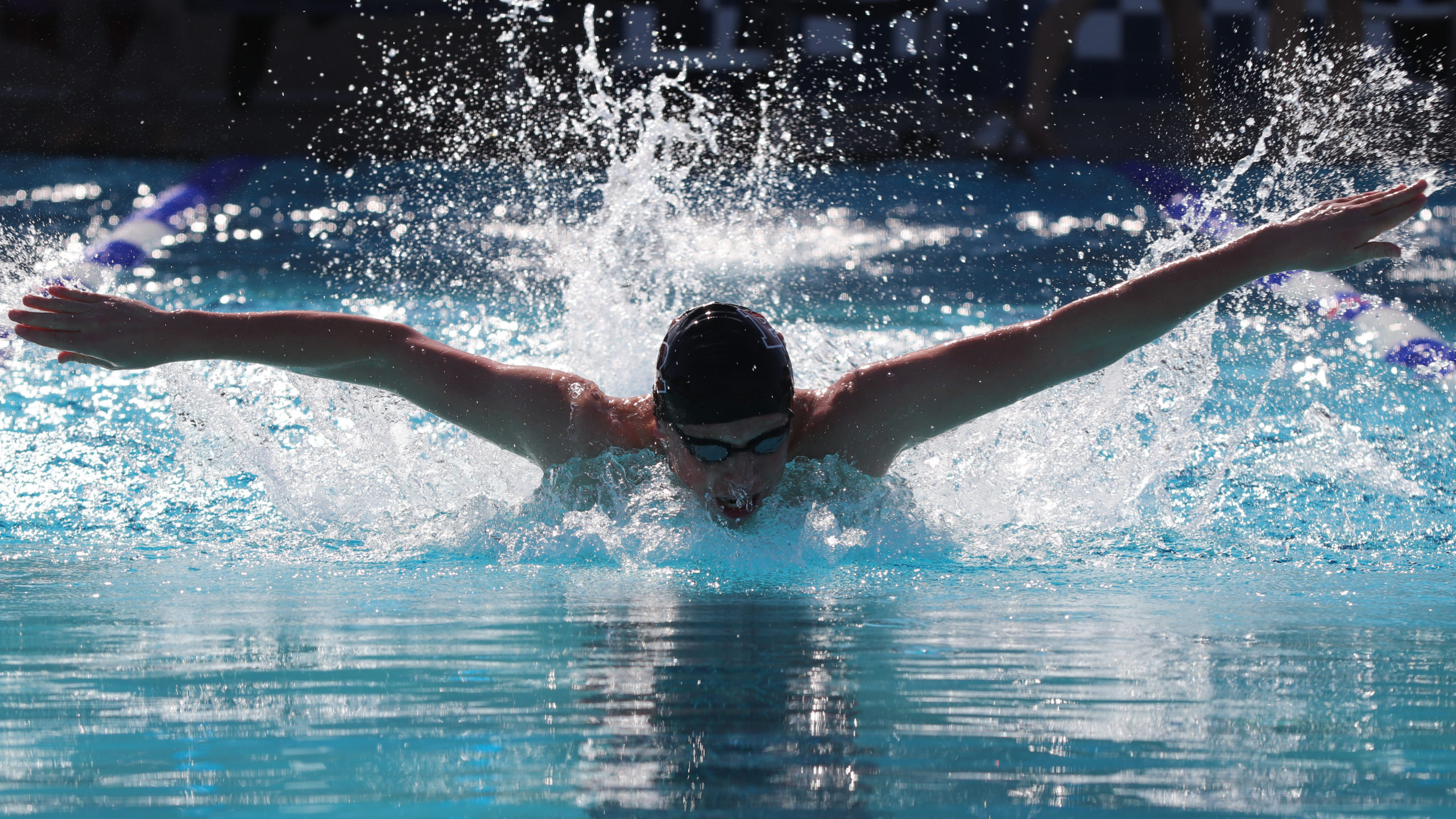 Butterfly stroke, Pirates walk the plank, Bearcat swim, Crimson newsmagazine, 2560x1440 HD Desktop