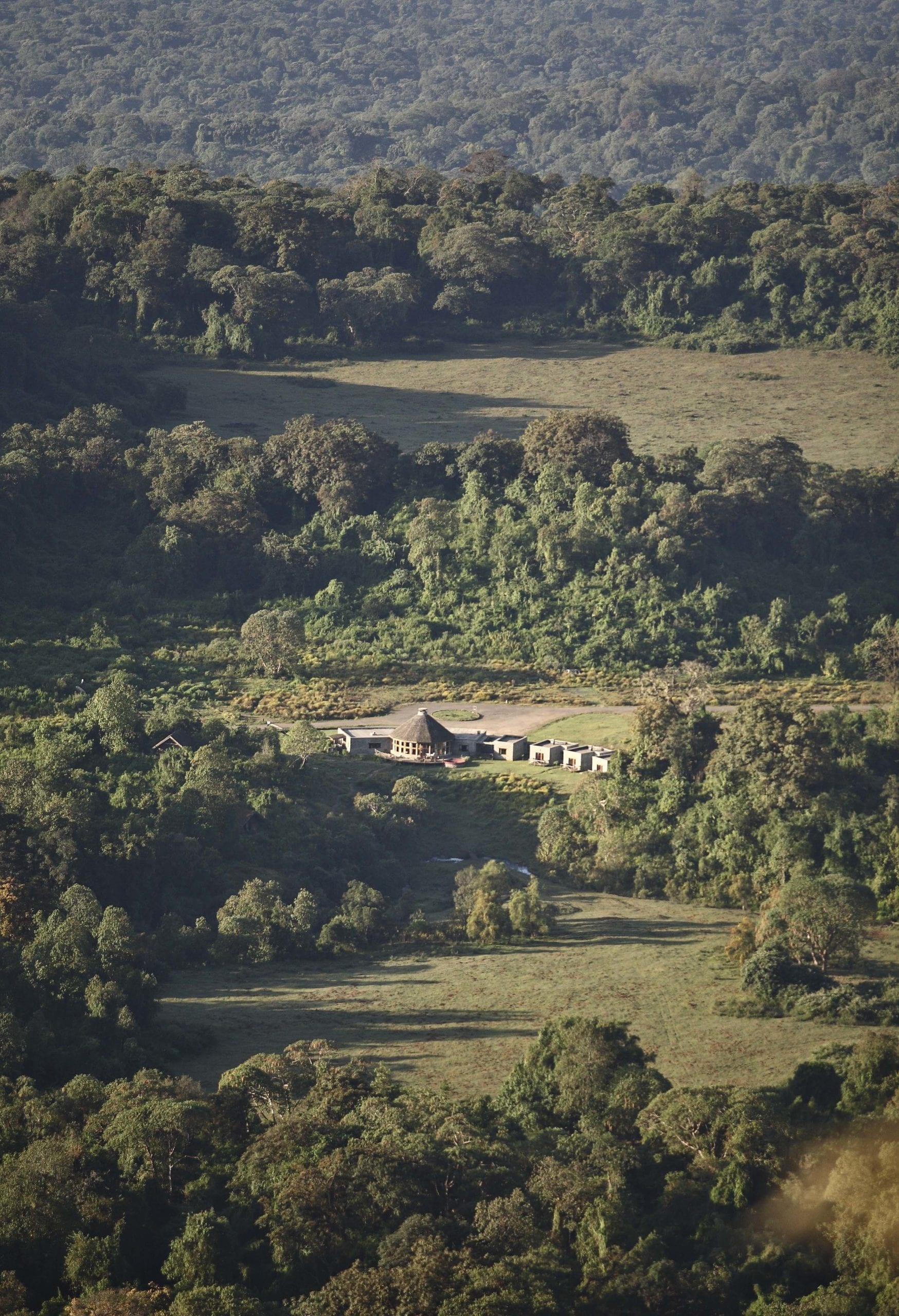 Bale Mountains National Park, Ethiopia, Bale Mountain Lodge, Exotic wildlife, 1750x2560 HD Phone