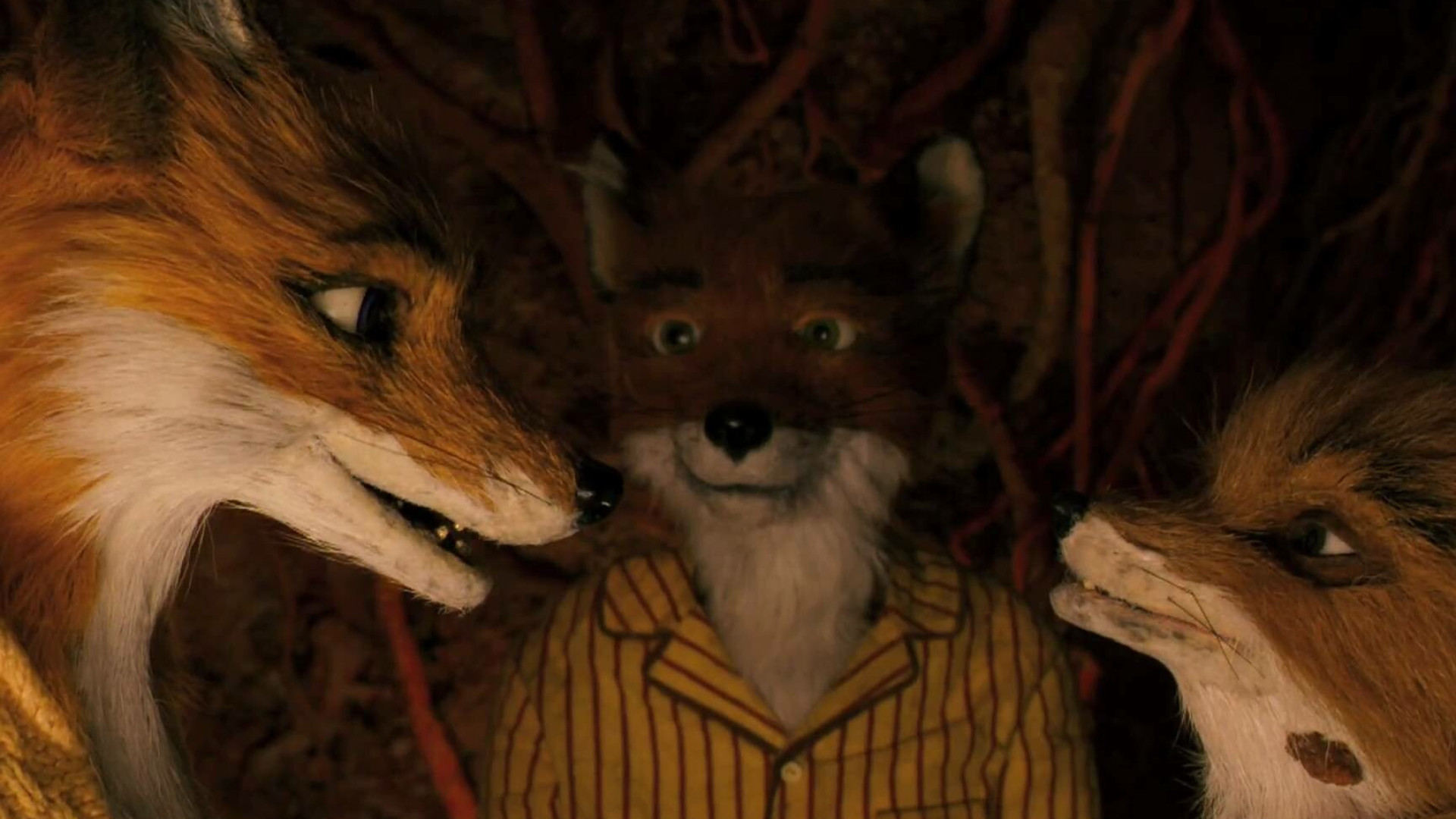 Fantastic Mr. Fox official theatrical trailer, Wes Anderson TV, 1920x1080 Full HD Desktop