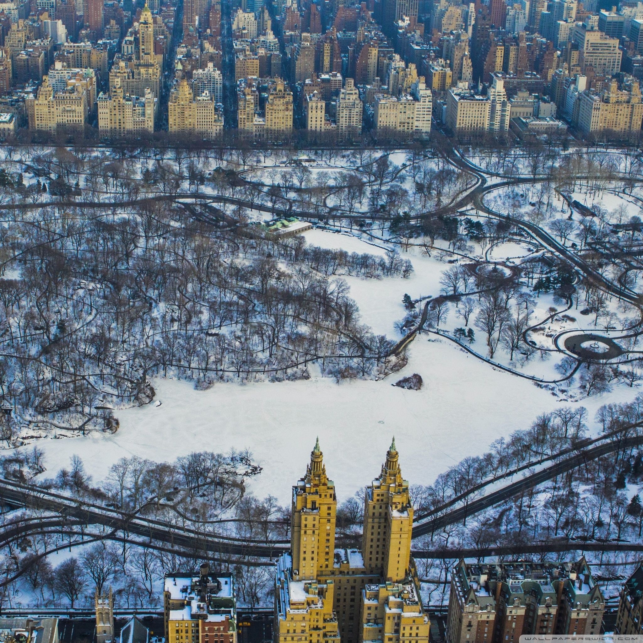 Central Park, Winter wallpapers, Backgrounds, 2050x2050 HD Phone