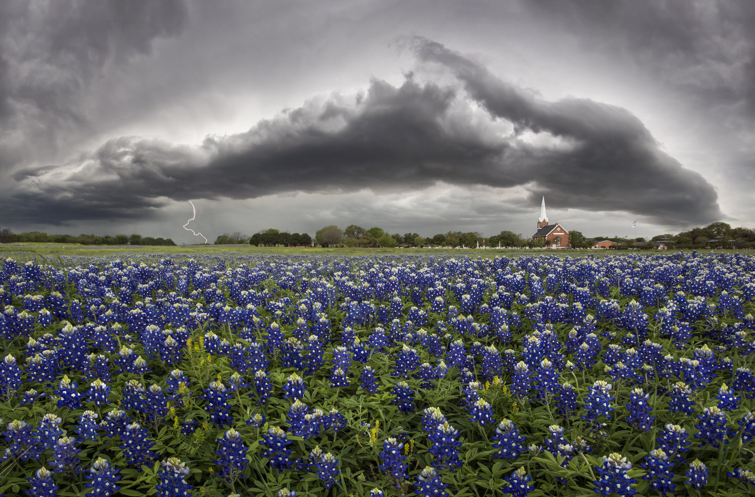 Bluebonnet, Nature photography, Stunning landscapes, Captivating scenes, 2500x1650 HD Desktop