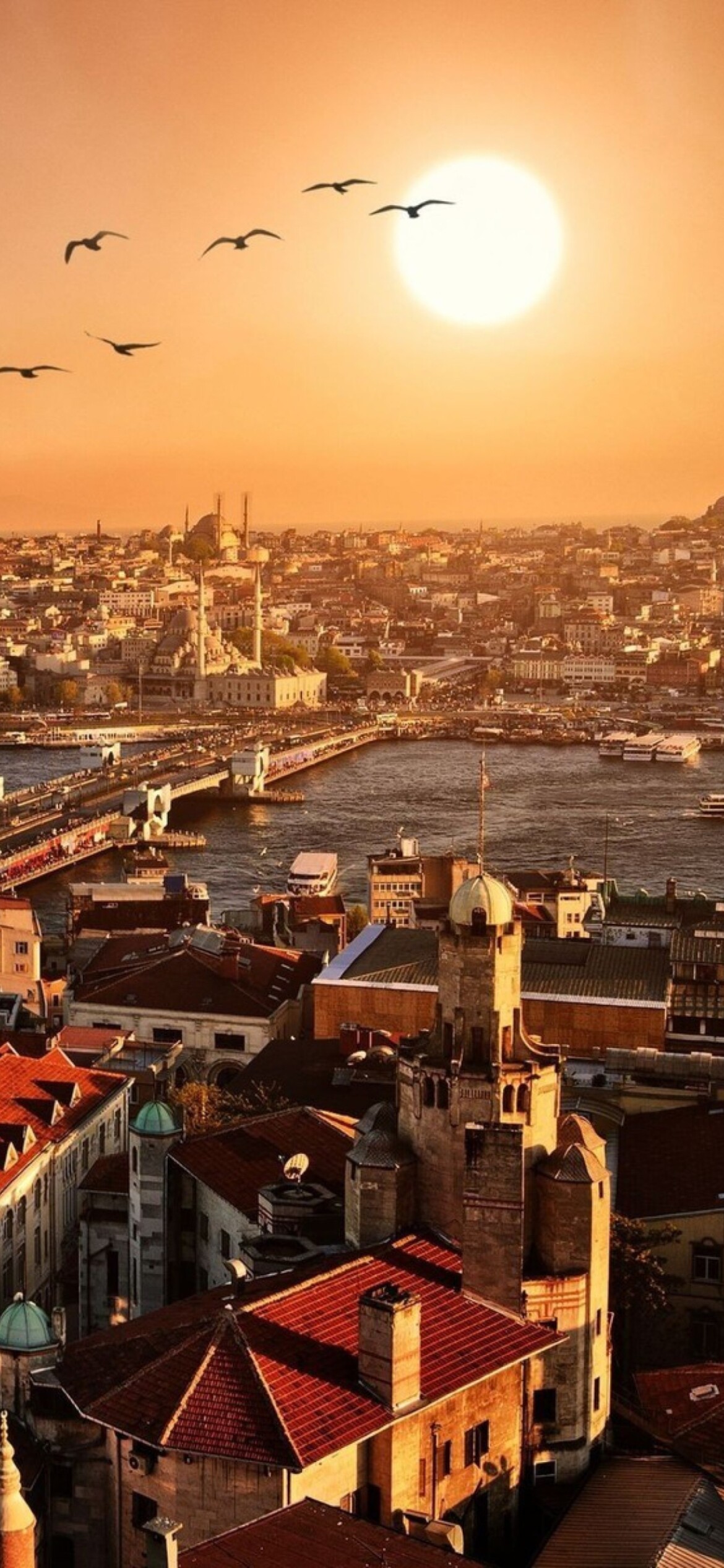 Turkey, Istanbul iPhone wallpaper, Elegant cityscape, Mobile beauty, 1170x2540 HD Phone