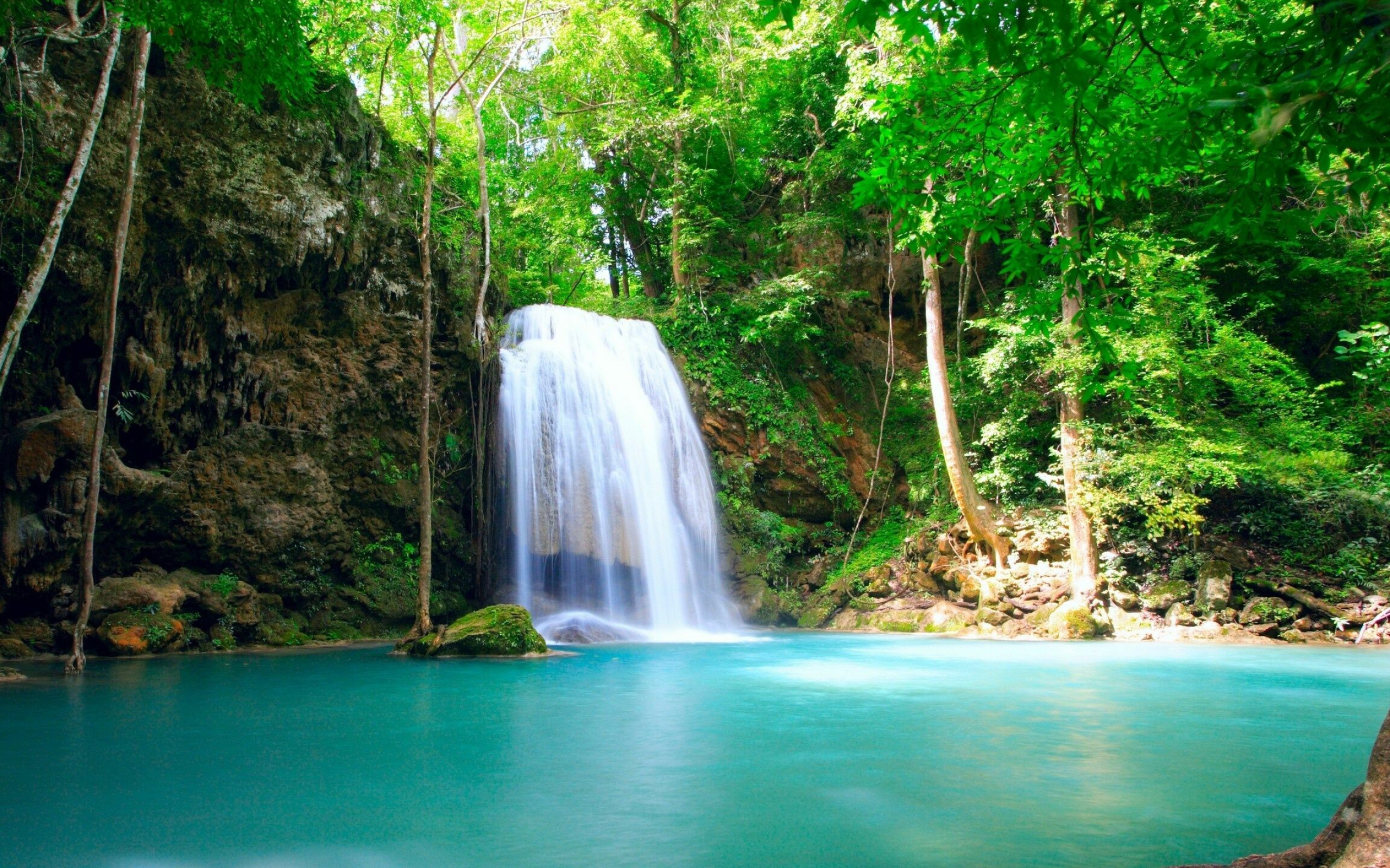 Tropical oasis, Enchanting falls, Lush greenery, Exotic destination, 2560x1600 HD Desktop