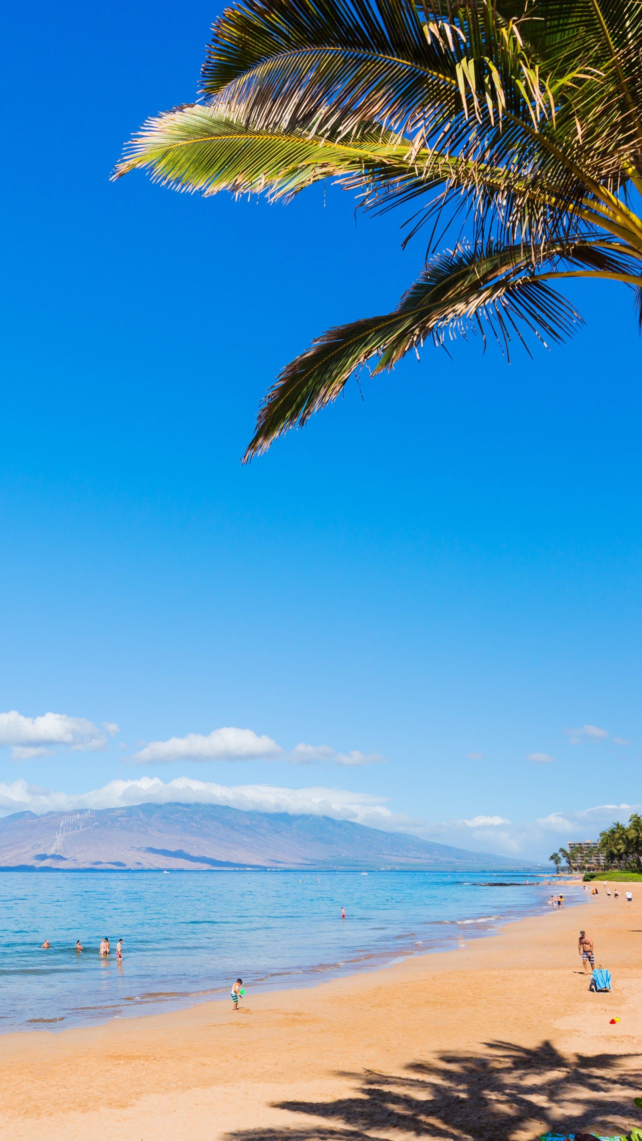 Hawaii's grandeur, Pristine landscapes, Oceanic beauty, Majestic vistas, 2160x3840 4K Phone