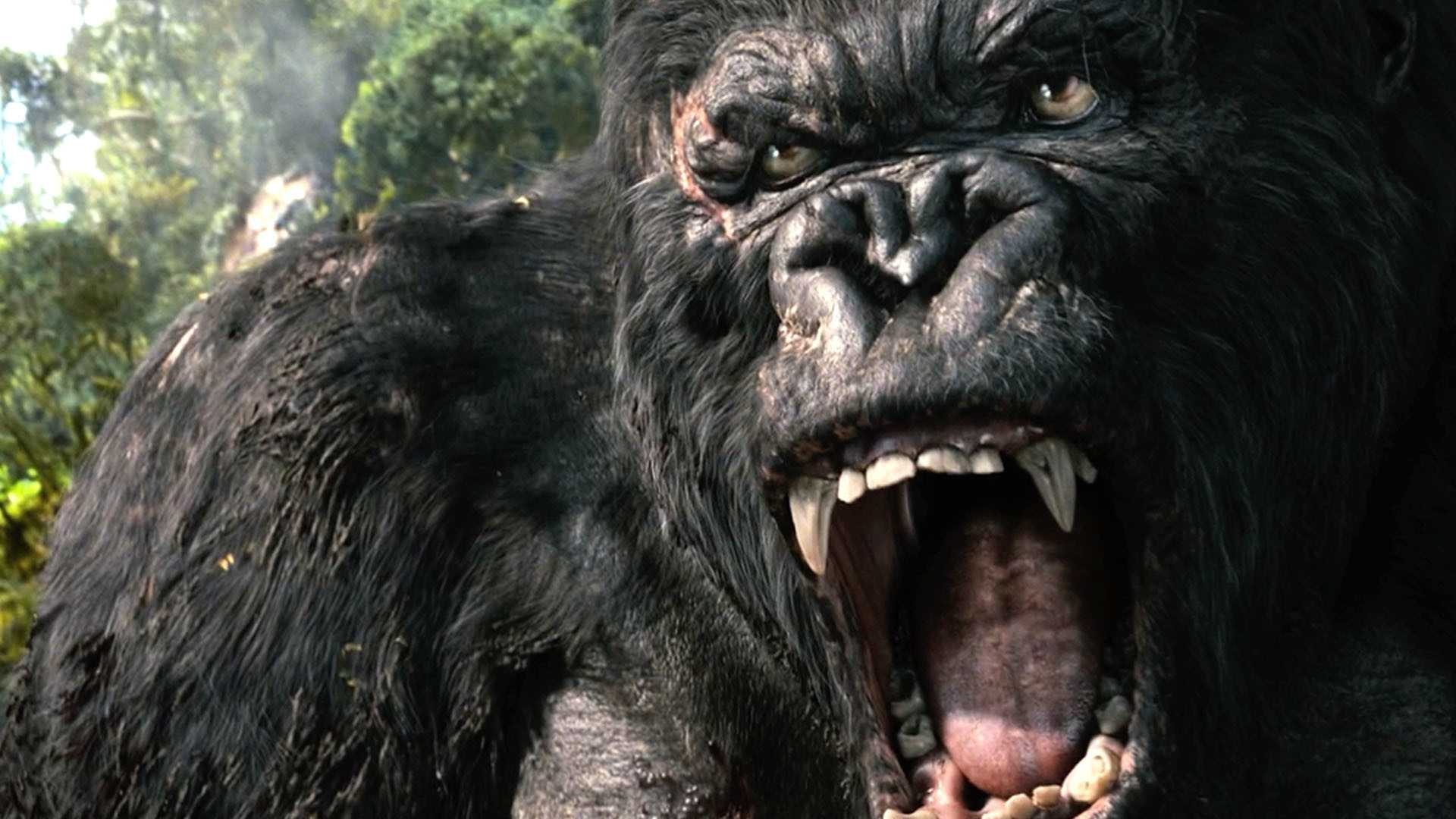 King Kong, Wallpapers HD, Free HD wallpapers, 1920x1080 Full HD Desktop