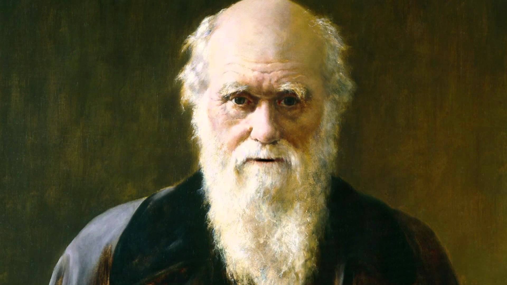 Charles Darwin, Evolutionary biologist, Naturalist, Scientific theory, 1920x1080 Full HD Desktop