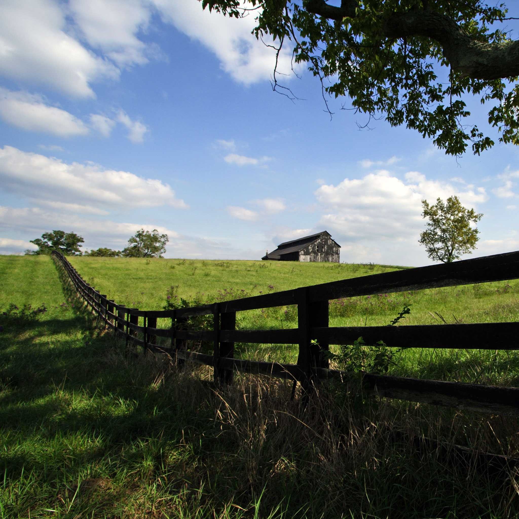 Kentucky, Horse racing, Bourbon trail, Quaint towns, 2050x2050 HD Phone