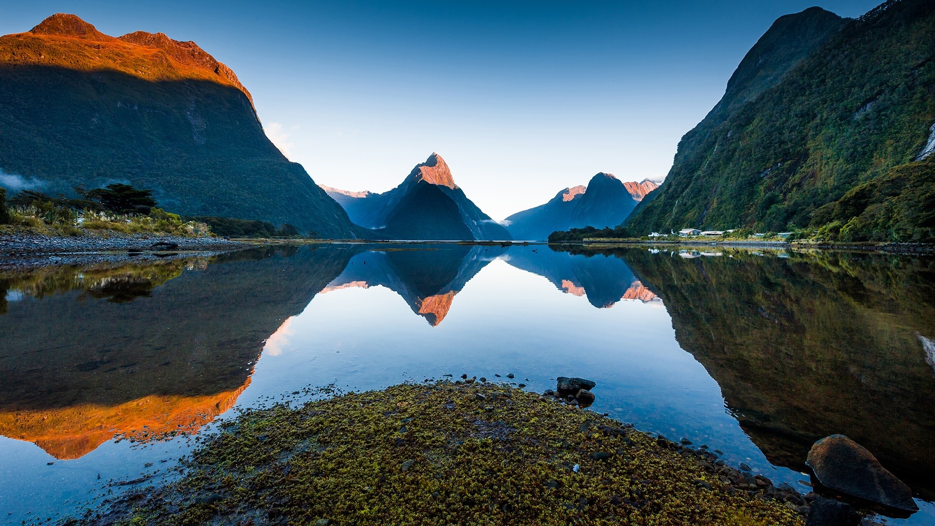 Morning view of Milford Sound, Piopiotahi, Fiordland National Park, New Zealand, 1920x1080 Full HD Desktop