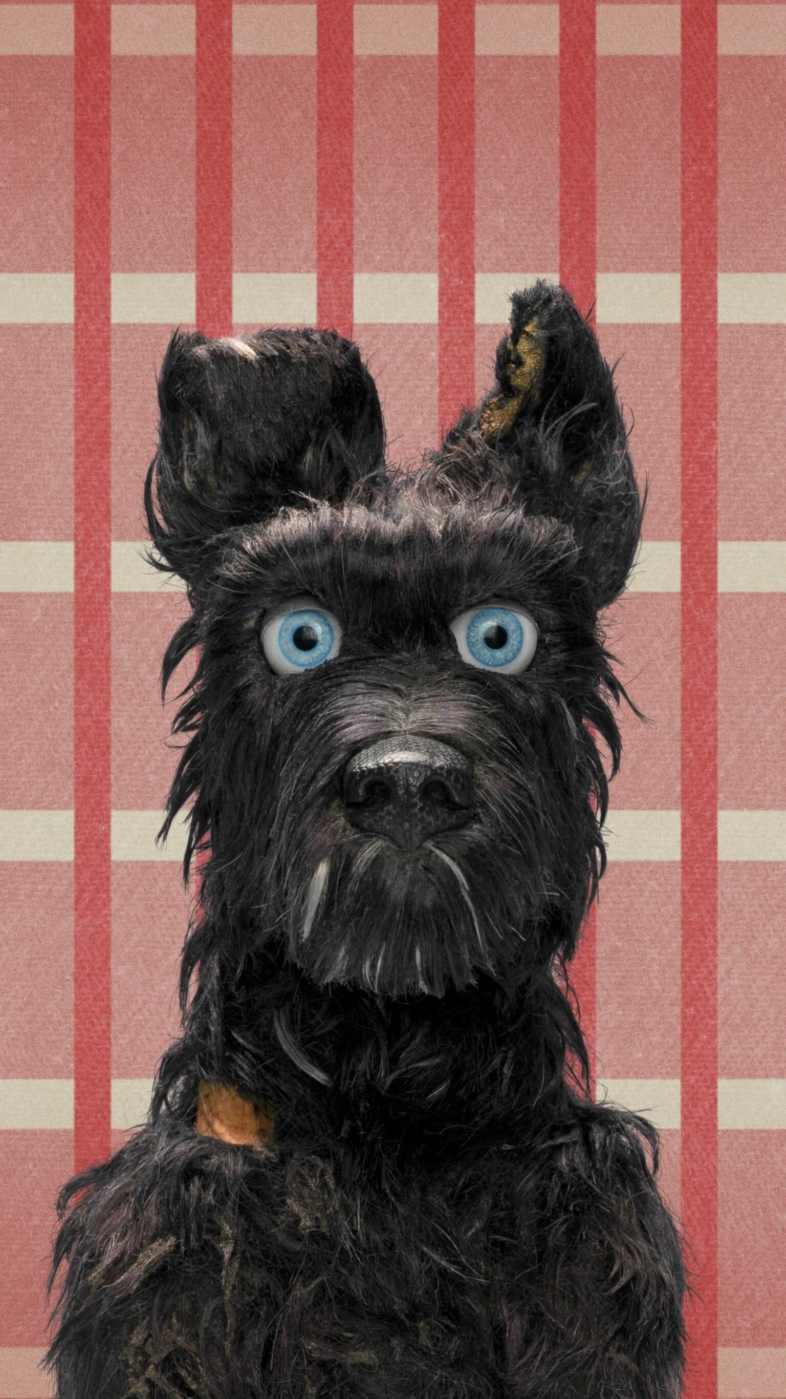 Chief, Isle of Dogs Wallpaper, 1540x2740 HD Phone