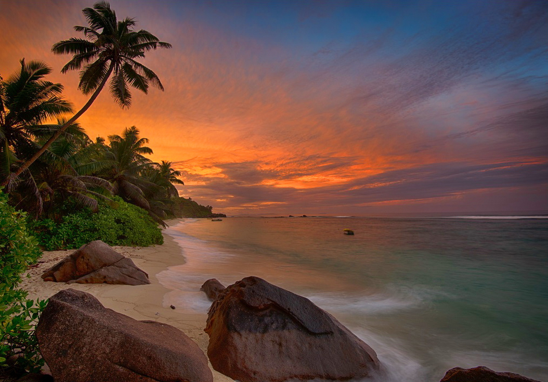 Seychelles beauty, Sunset scenery, Palm trees, Picturesque landscapes, 1920x1340 HD Desktop