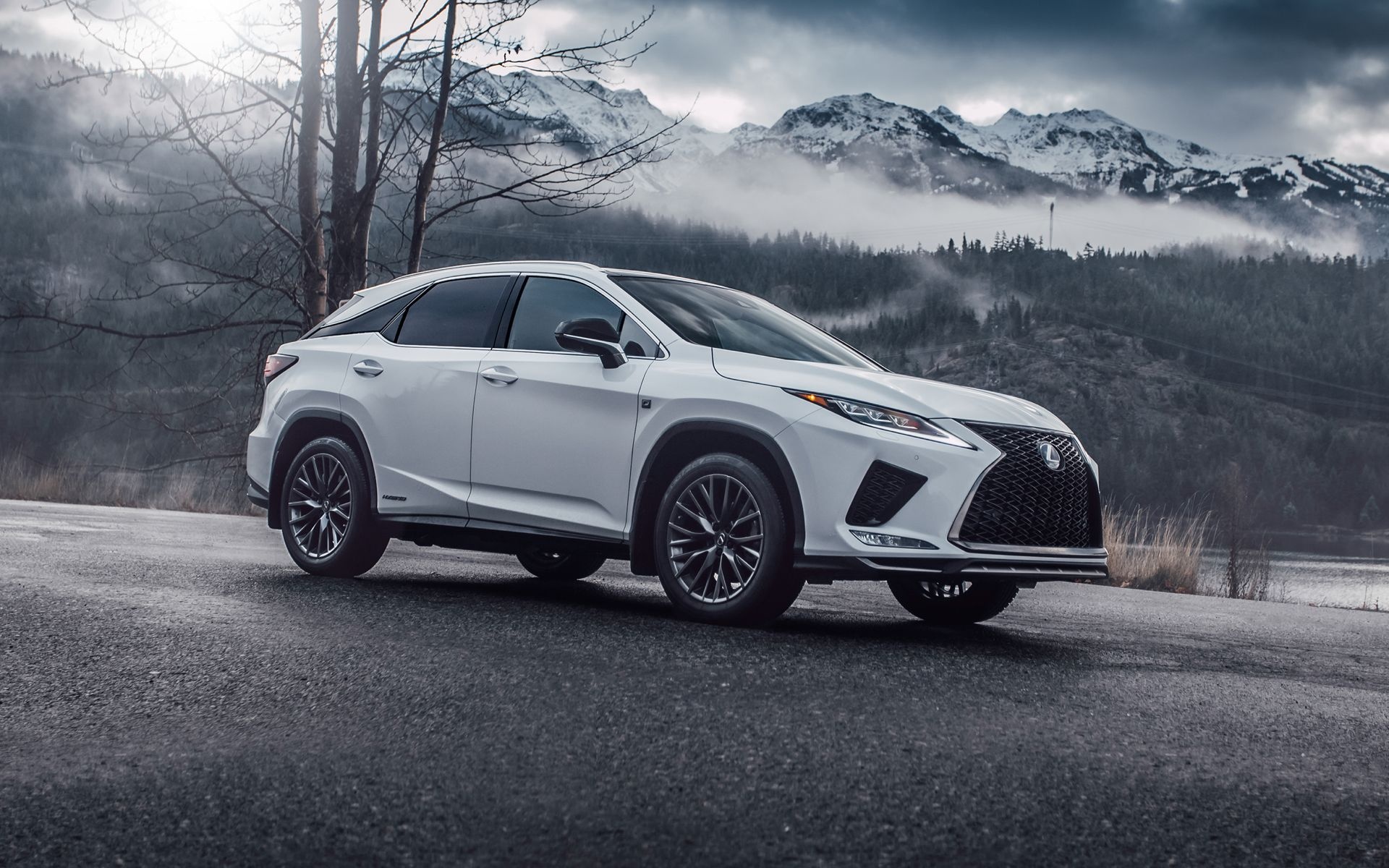 Lexus RX, Hybrid luxury, Comfortable and spacious, Premium features, 1920x1200 HD Desktop