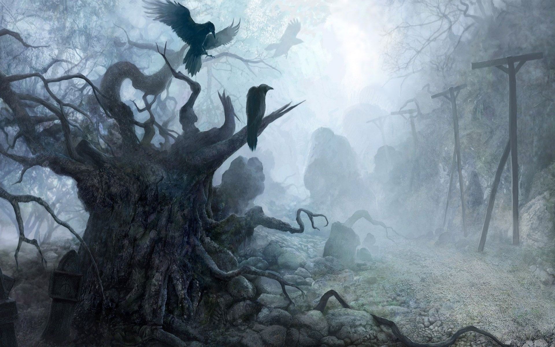 Ravens, Haunted Forest Wallpaper, 1920x1200 HD Desktop