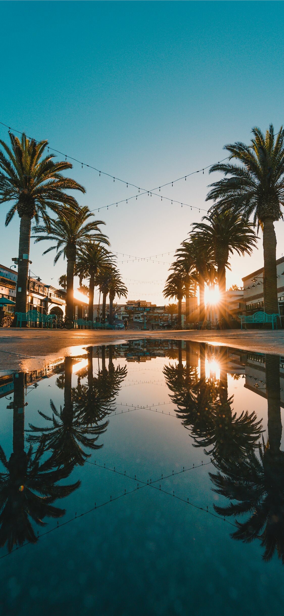 Nature's artwork, Palm tree backdrop, Calming aura, Serene paradise, 1130x2440 HD Phone