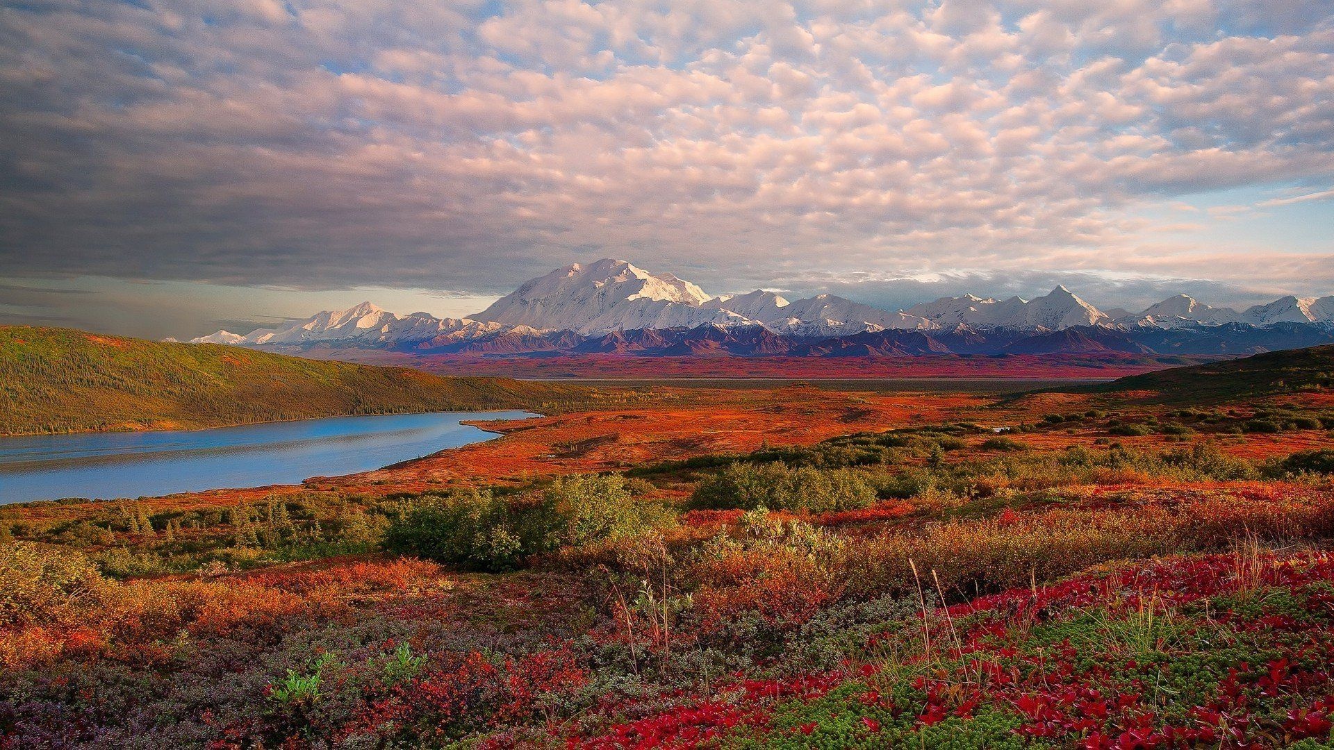 Denali National Park and Preserve, Travels, Wallpapers, Stunning backgrounds, 1920x1080 Full HD Desktop