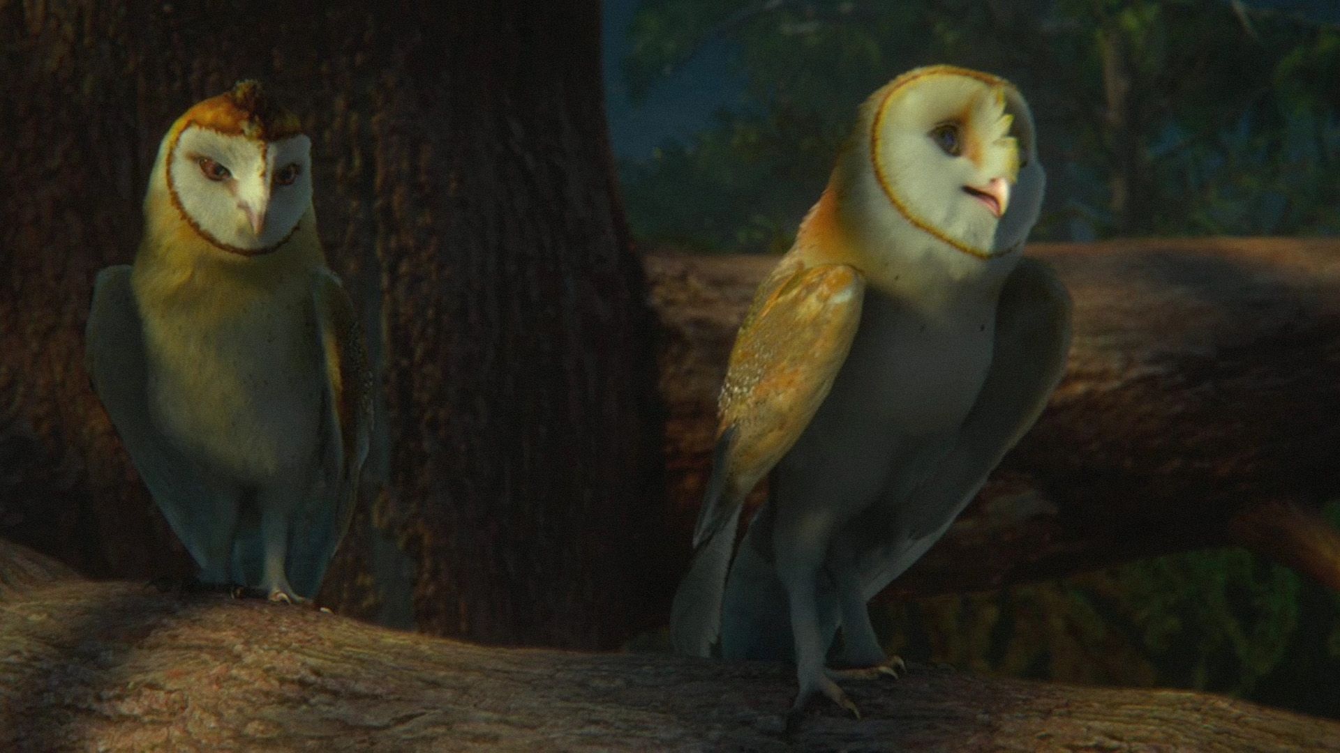 Legend of the Guardians, GaHoole owl illustrations, Animated adventure film, GaHoole heroes, 1920x1080 Full HD Desktop