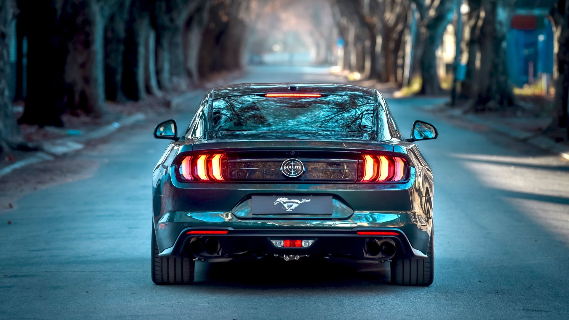 Coupe Rear View, Mustang Wallpaper, 1920x1080 Full HD Desktop