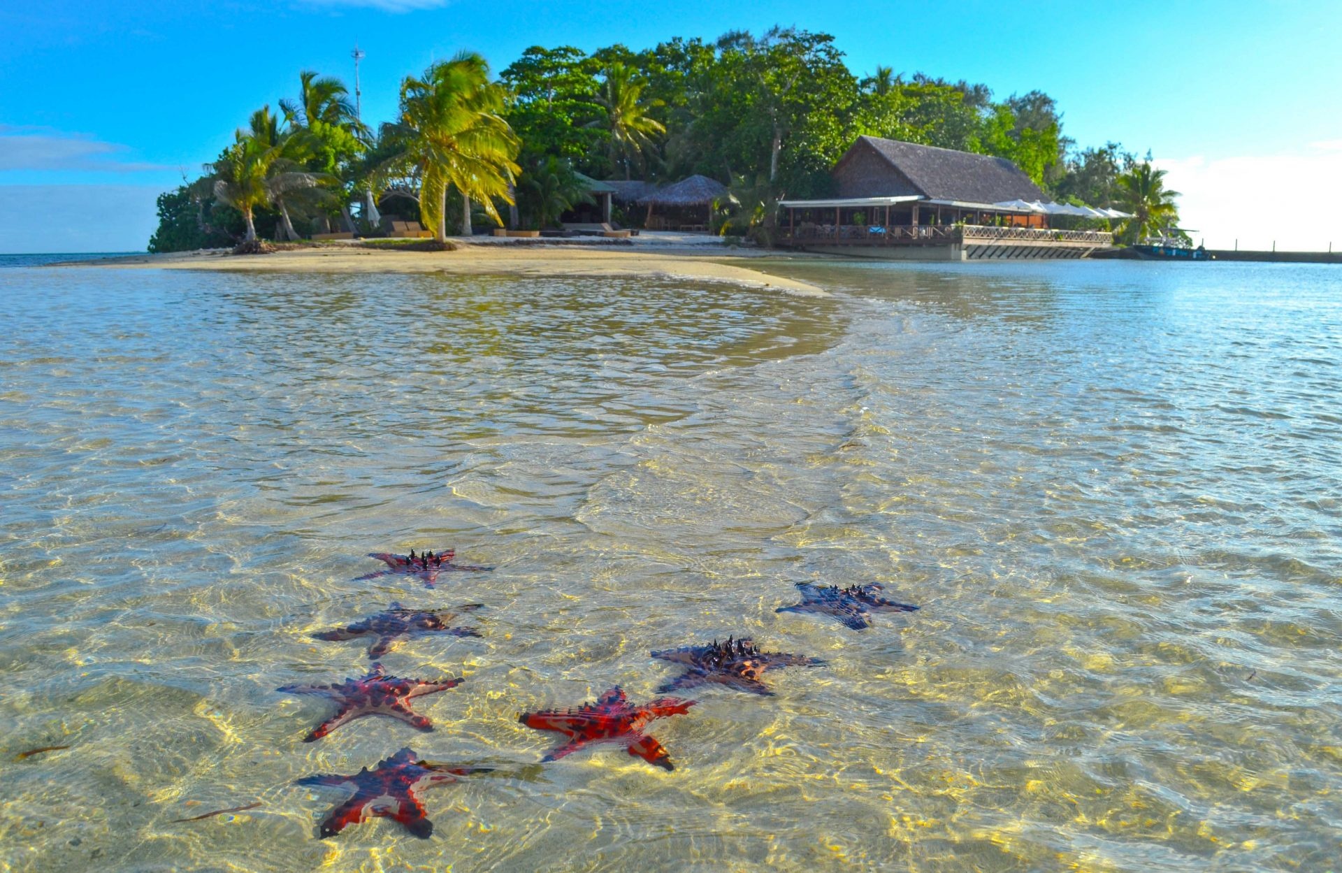 Vanuatu, Erakor Island, Photo of the day, Round the world, 1920x1250 HD Desktop