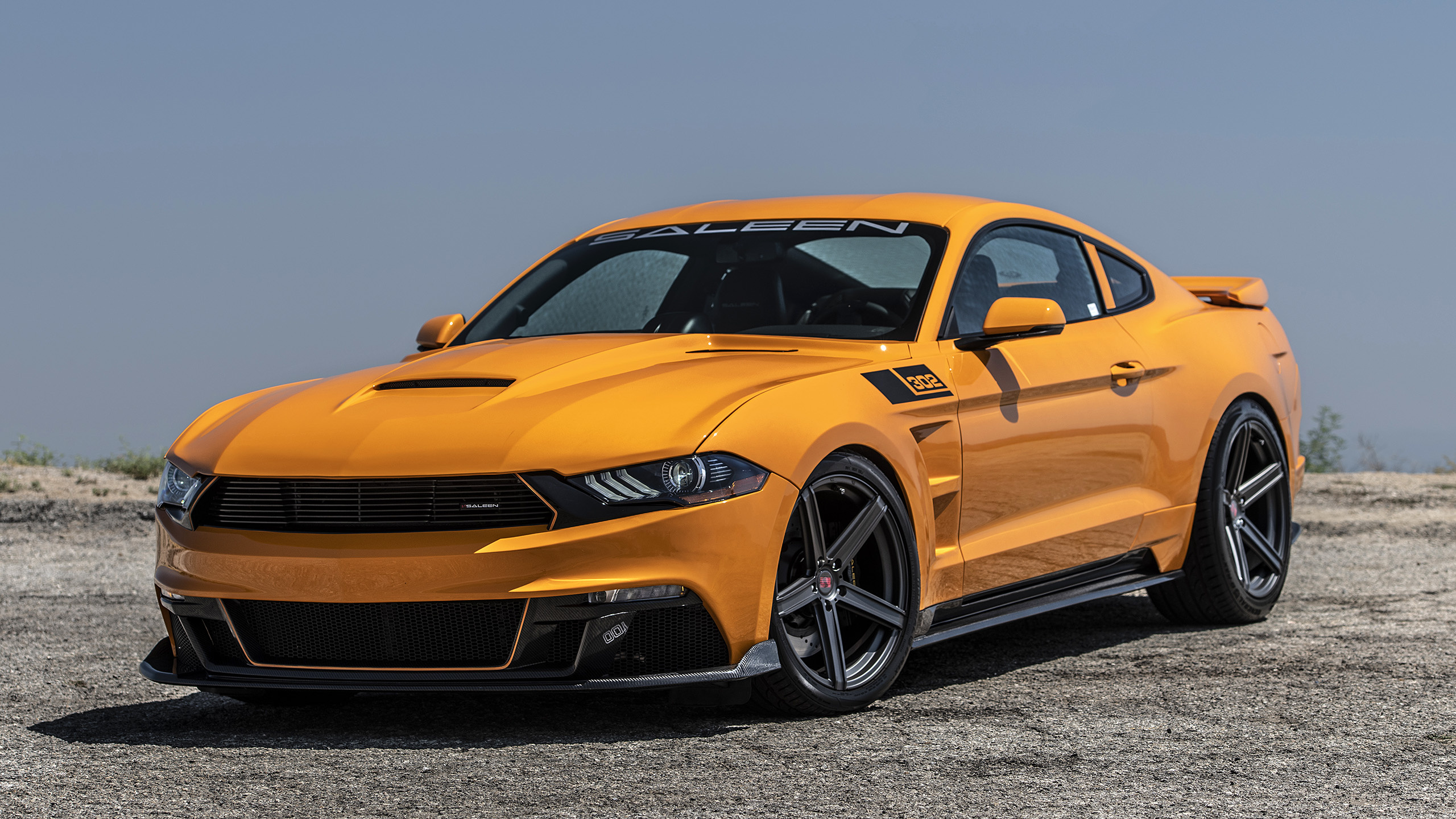 Saleen 2019, Mustang Wallpaper, 2560x1440 HD Desktop