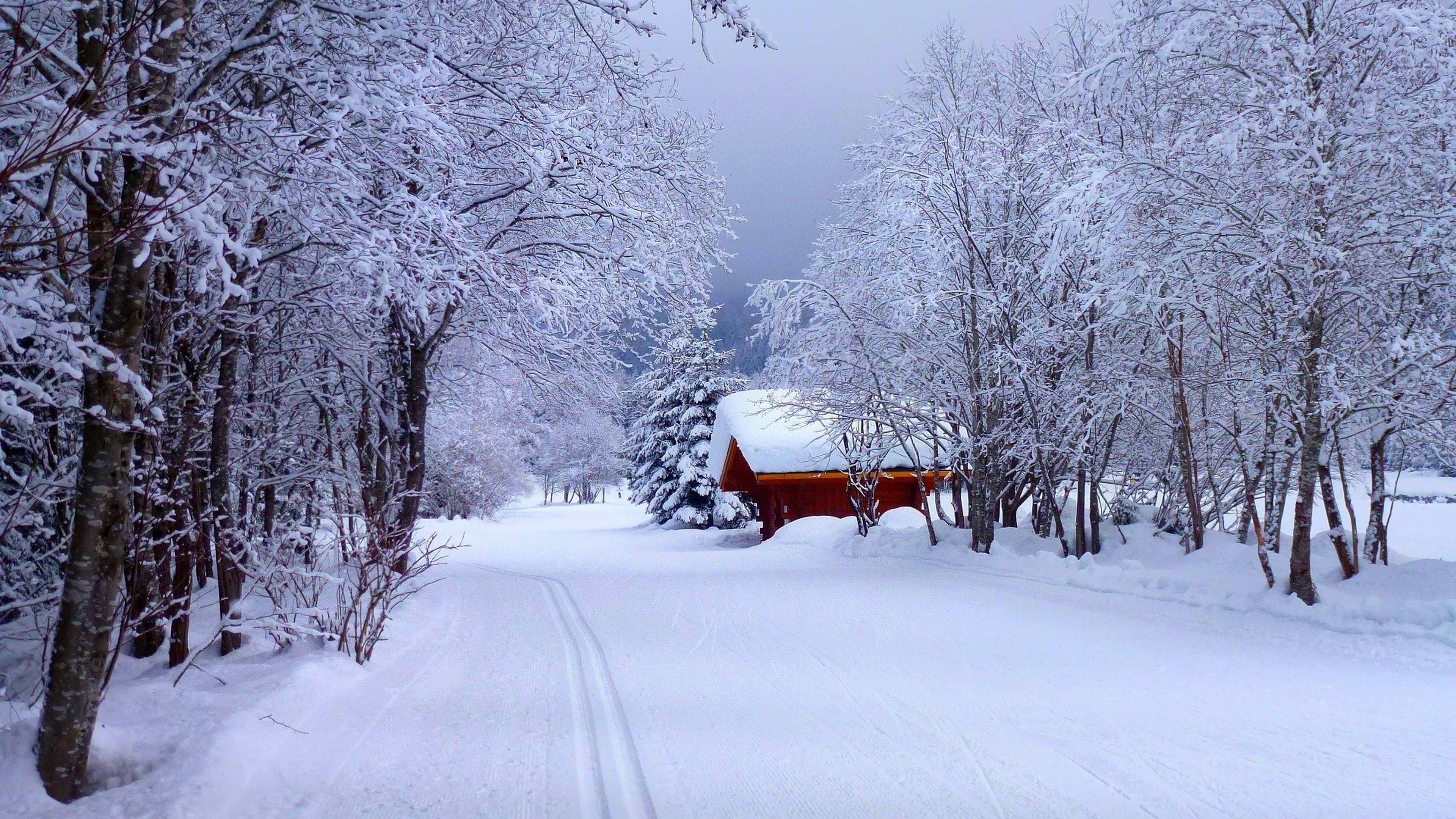 Finland travels, Winter forest, Stunning 4k wallpaper, Nature's beauty, 3840x2160 4K Desktop