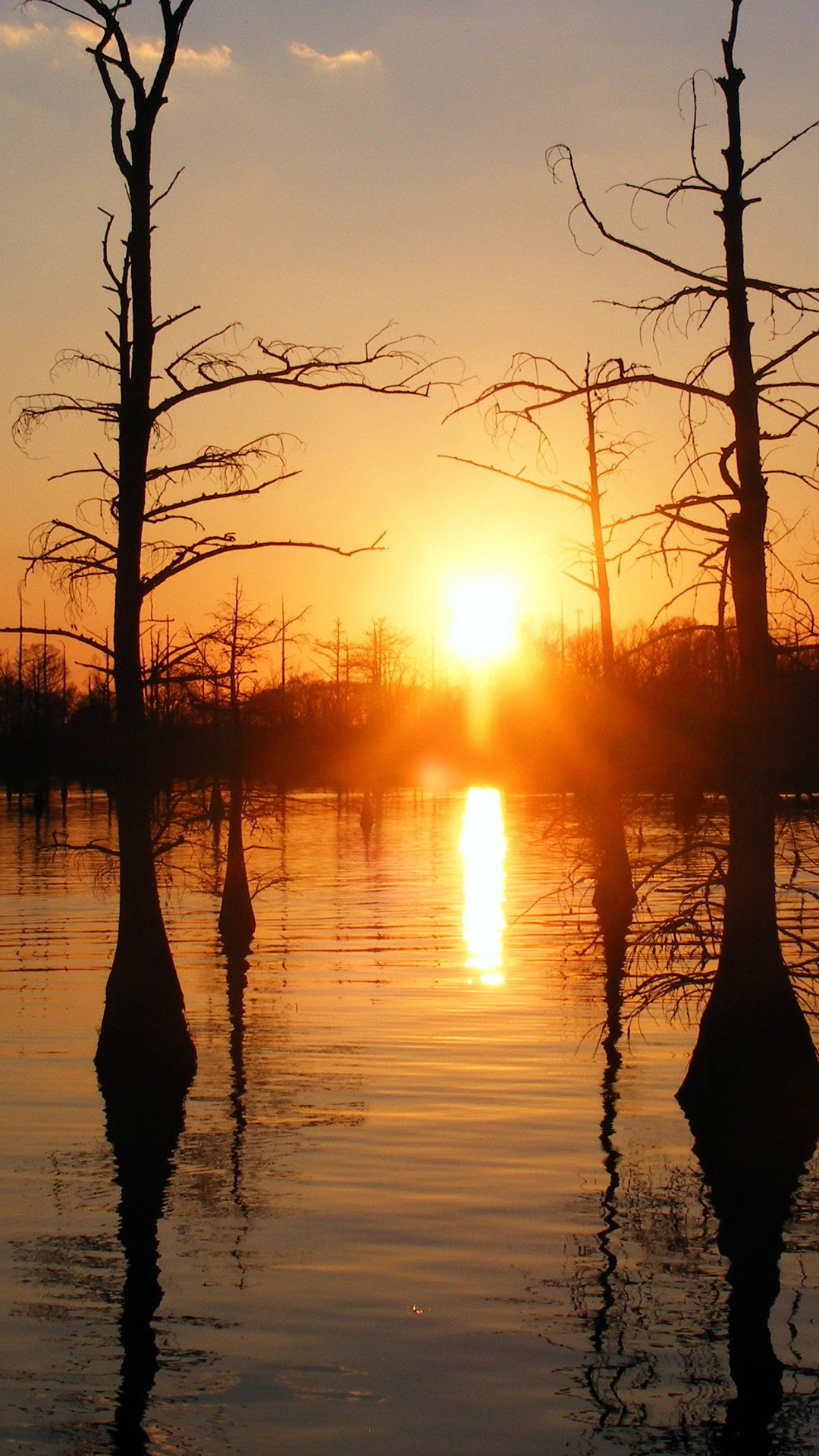 Black Bayou, Monroe, United States of America, Wallpaper, 1080x1920 Full HD Phone