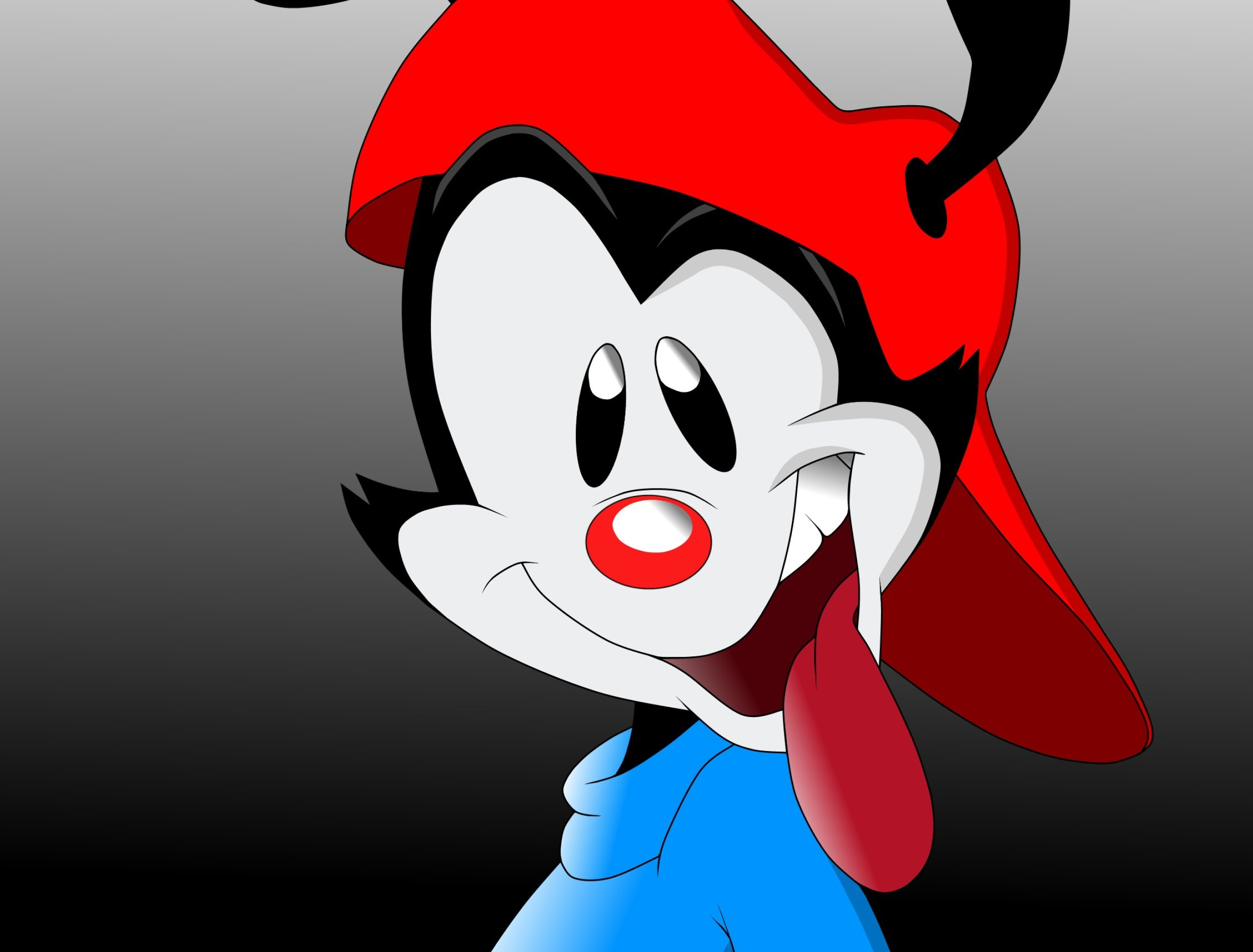 Wakko Warner, Animaniacs Wallpaper, 2500x1900 HD Desktop