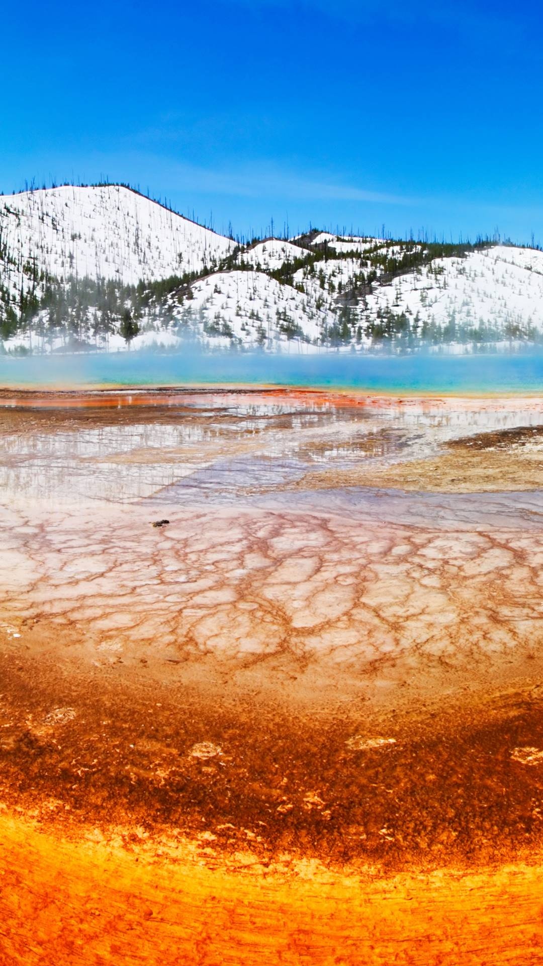 Yellowstone National Park, Nature's wonder, Majestic geysers, Untamed wilderness, 1080x1920 Full HD Phone