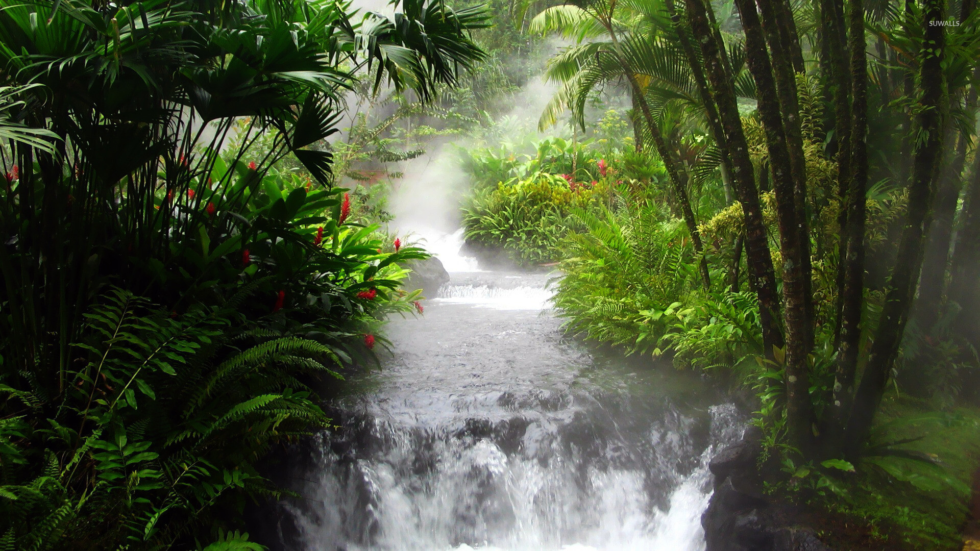 Waterfall in the jungle, Nature's tranquility, Wallpaper oasis, Captivating beauty, 1920x1080 Full HD Desktop