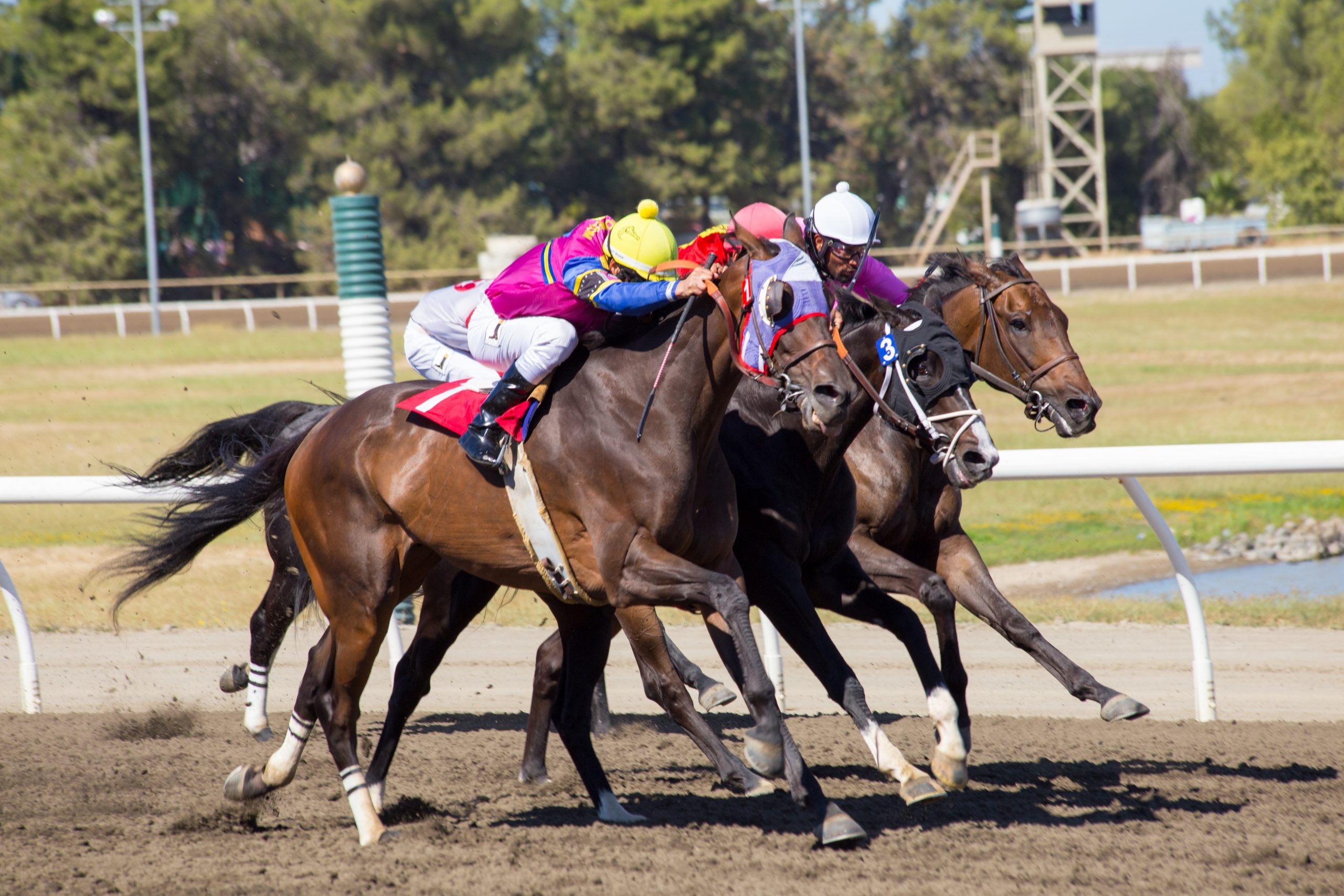 Cal Expo, Horse Racing Wallpaper, 2560x1710 HD Desktop