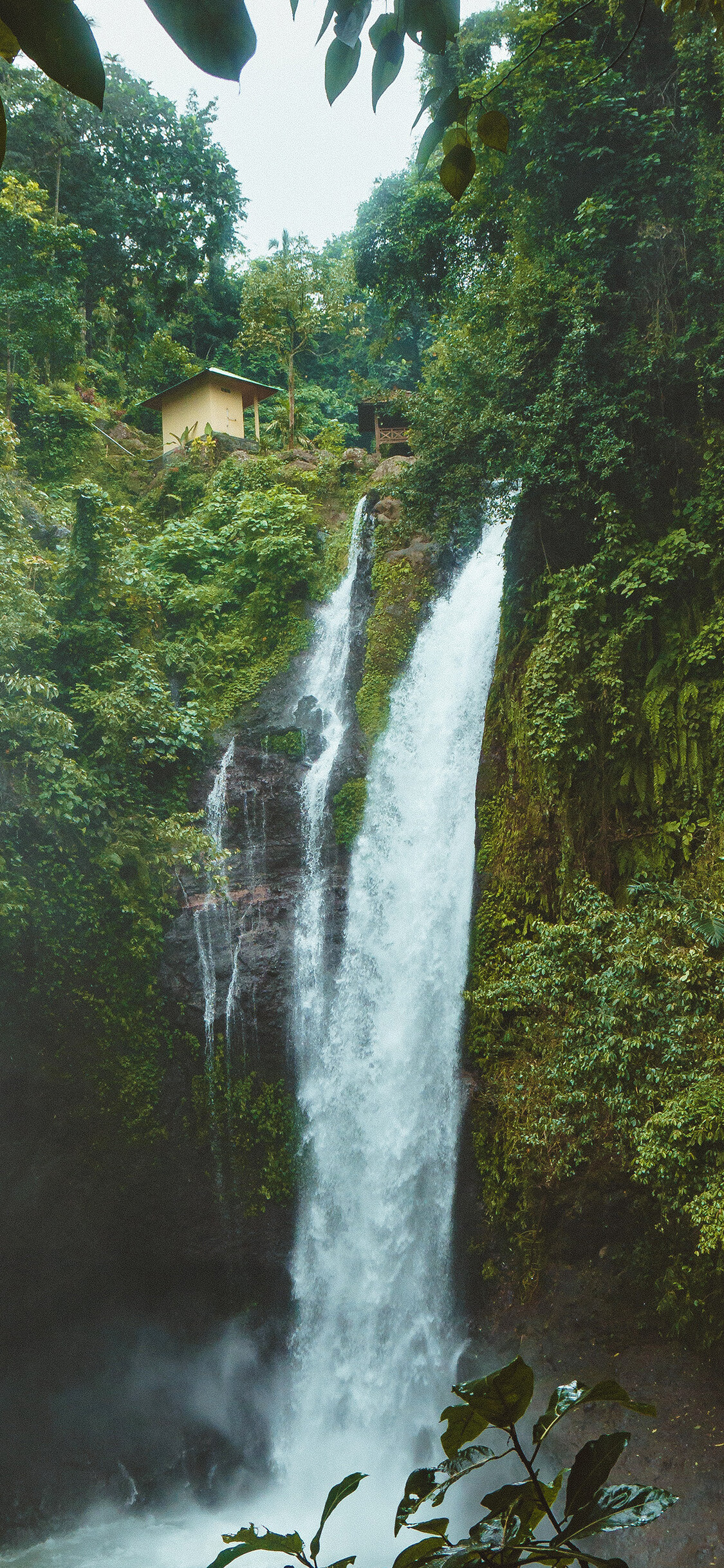 Waterfall oasis, Tranquil forest, Serene river, Nature's harmony, 1130x2440 HD Phone