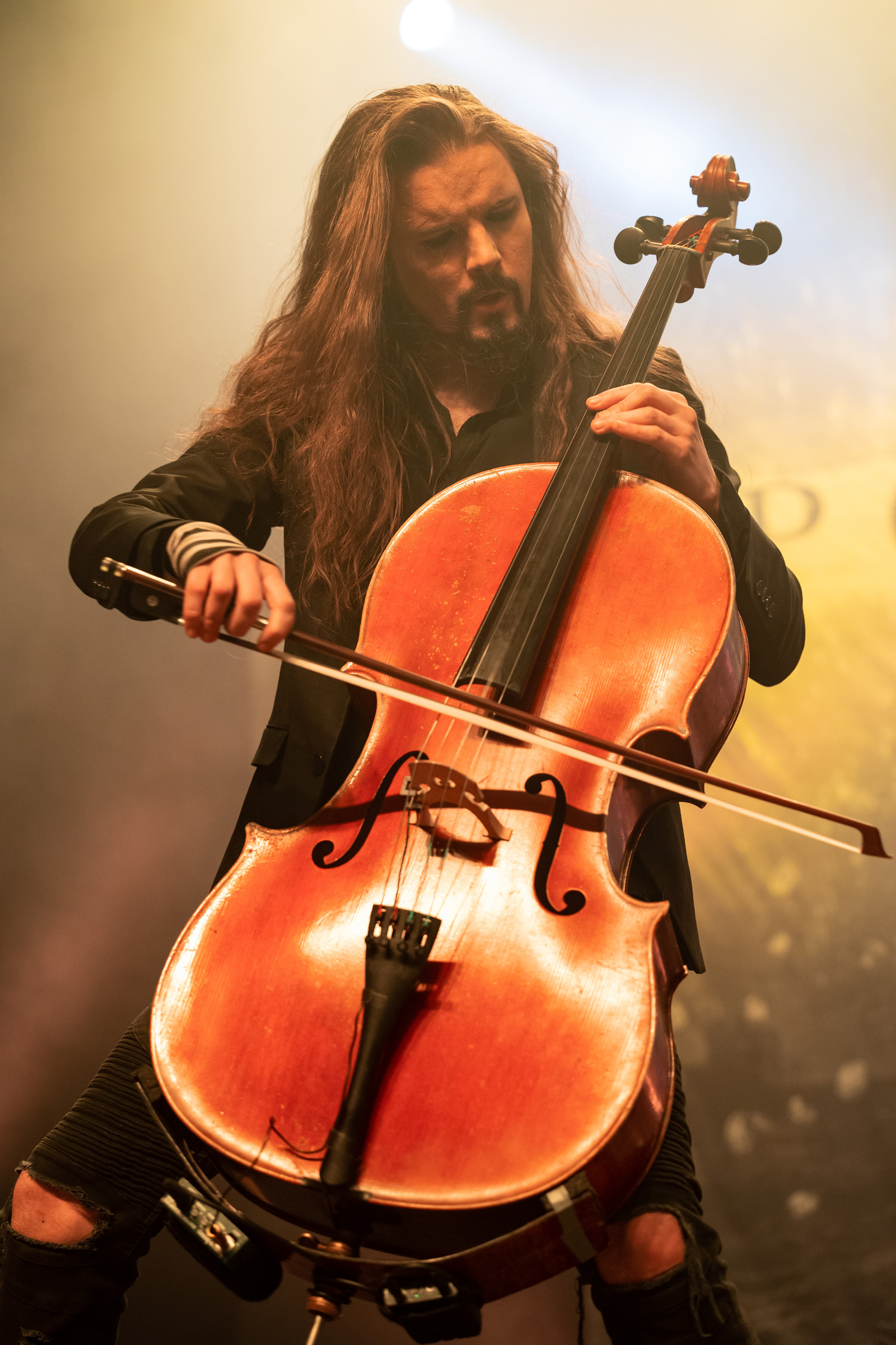 Apocalyptica concert, Detroit tour, Folk n rock, 1600x2400 HD Phone