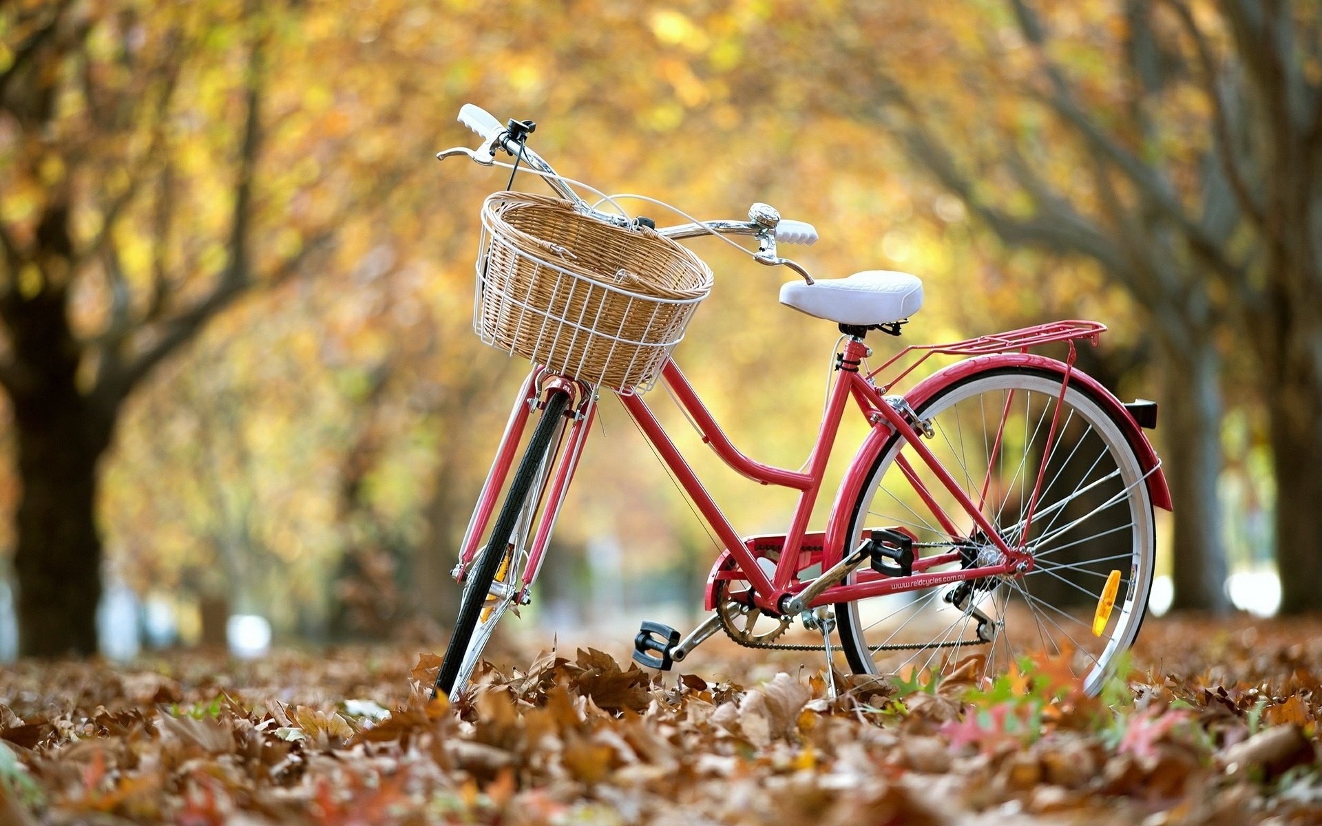 Basket, Bicycles Wallpaper, 1920x1200 HD Desktop