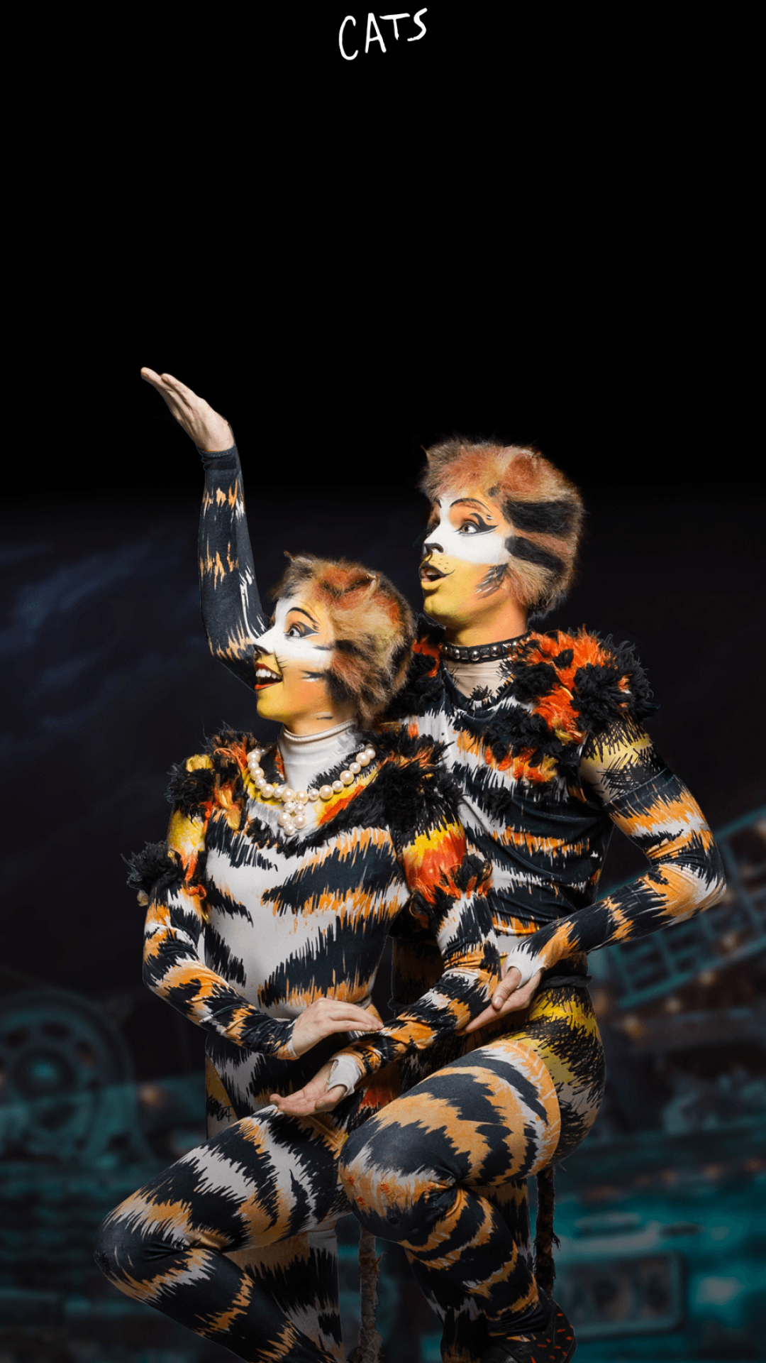 Cats The Musical, Jellicle cats, T.S. Eliot, Magical stage production, 1080x1920 Full HD Phone