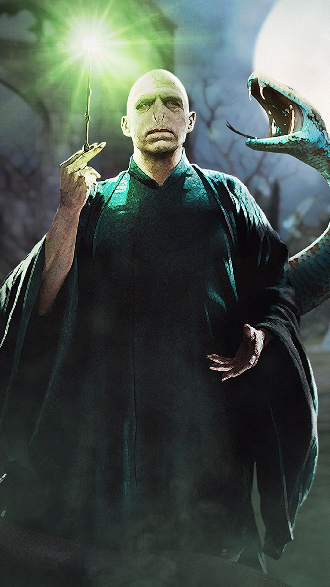 Nagini, Lord Voldemort Wallpaper, 1080x1920 Full HD Phone