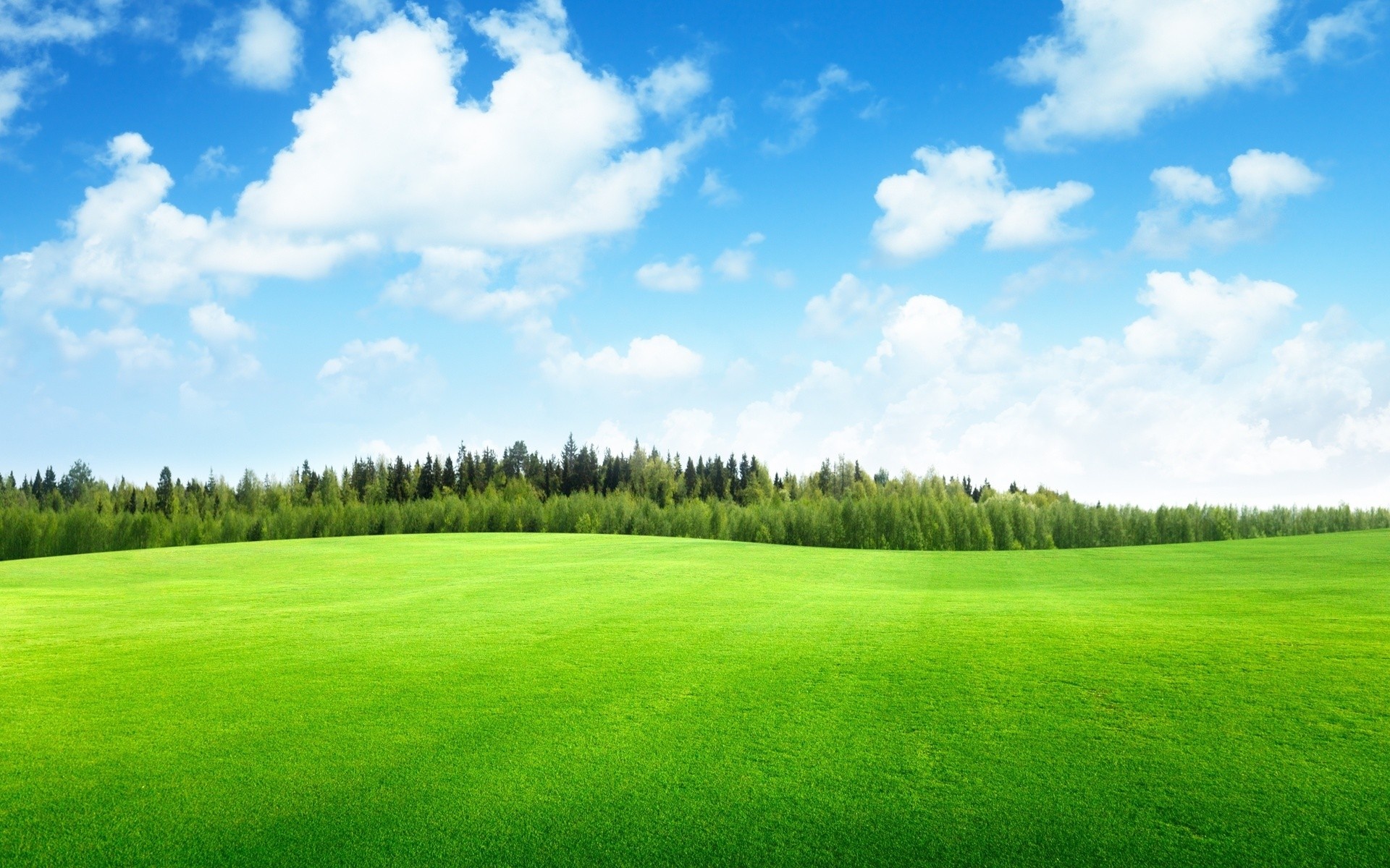 Landscape nature wallpaper, Golf course views, Picturesque greenery, Sport venue, 1920x1200 HD Desktop