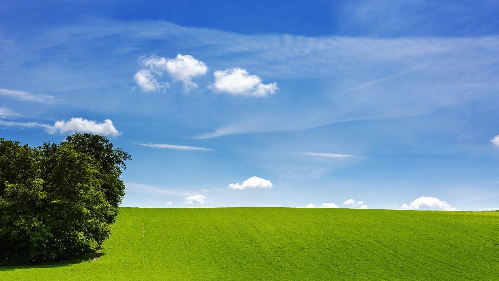 Sky and grass, Nature's beauty, Scenic landscapes, Captivating views, 1920x1080 Full HD Desktop