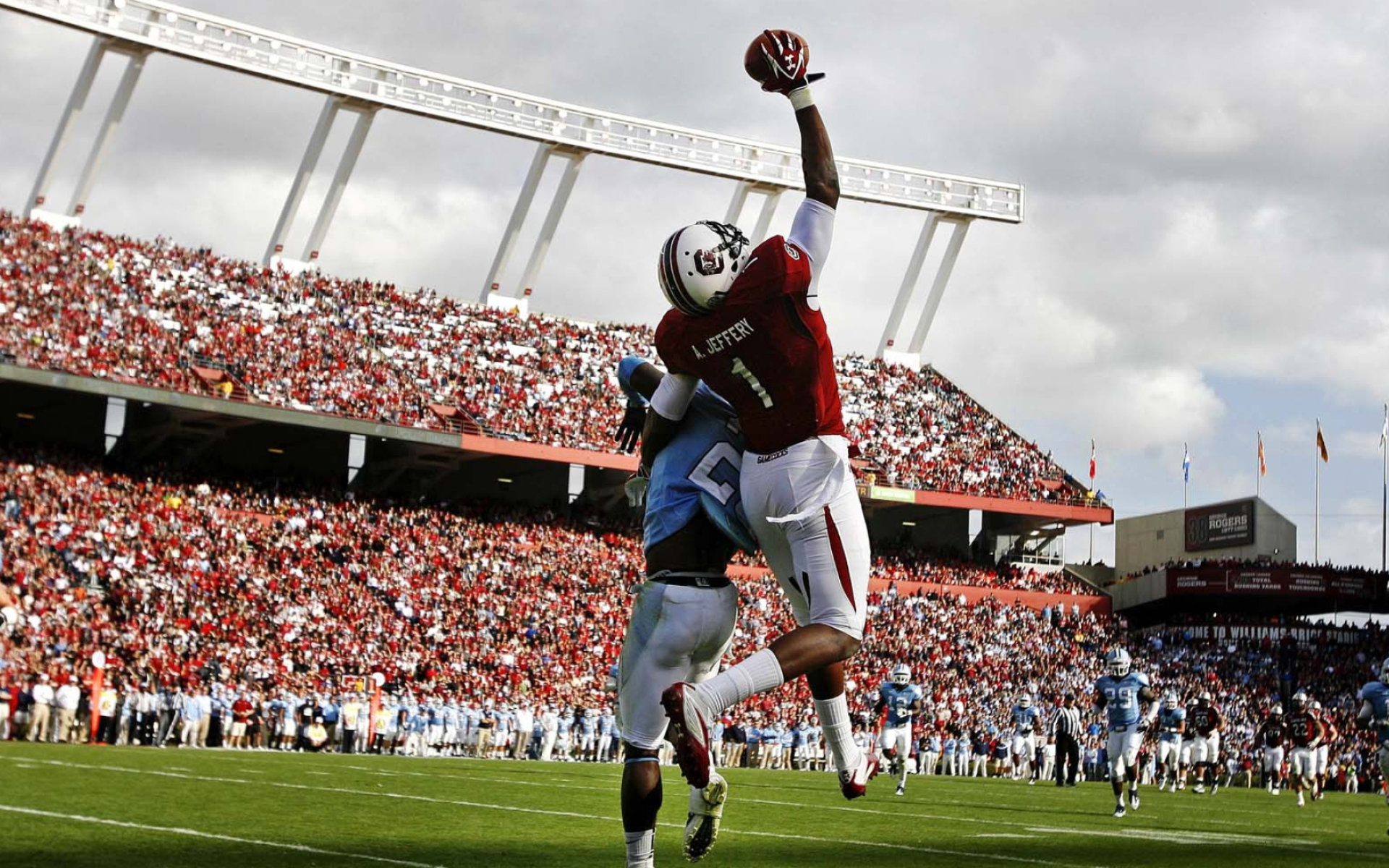 University of South Carolina, Gamecocks wallpapers, South Carolina football, Gamecock, 1920x1200 HD Desktop