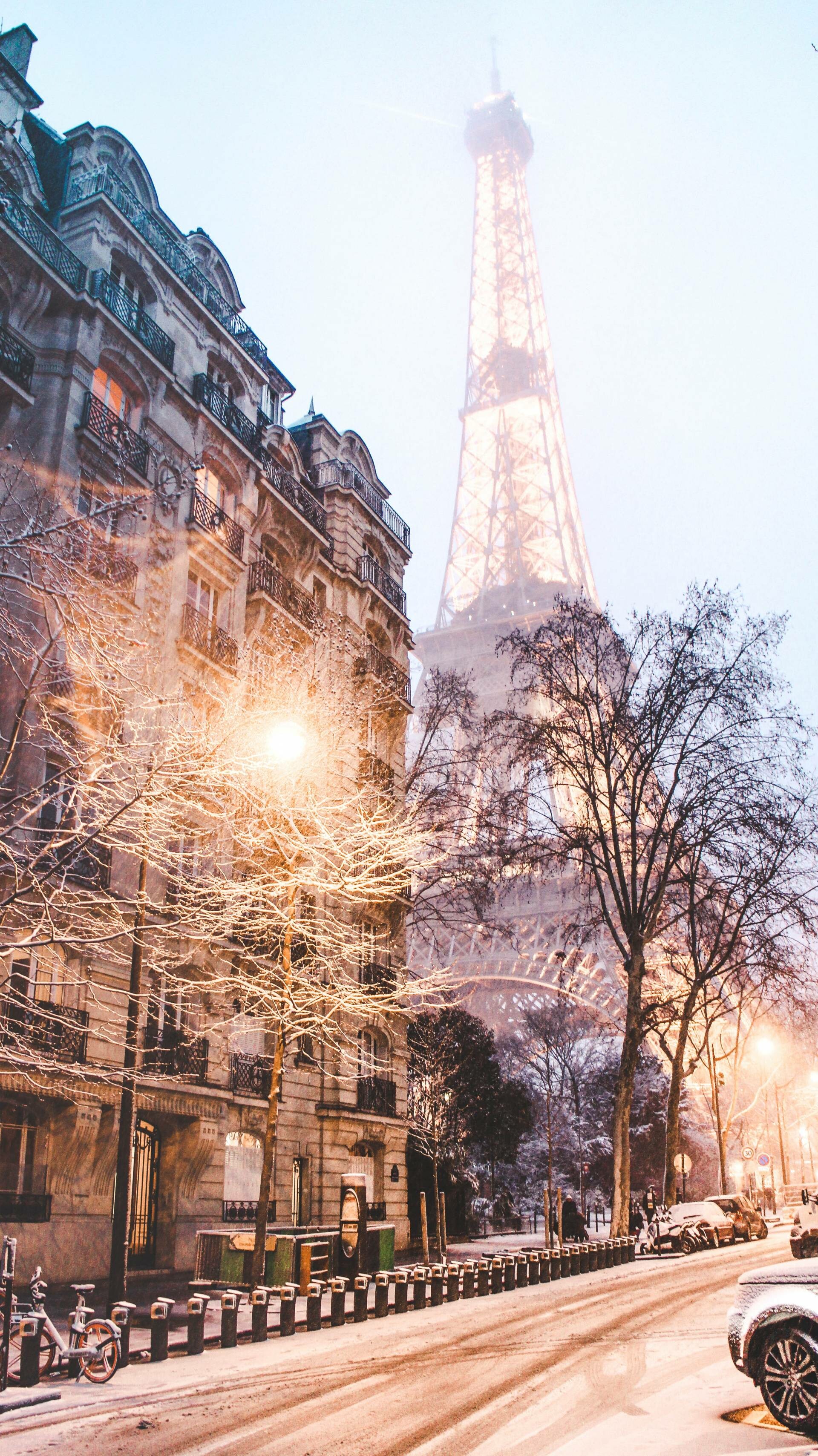 Paris, Snowy scenery, Winter wonderland, Chilled atmosphere, 1920x3420 HD Phone