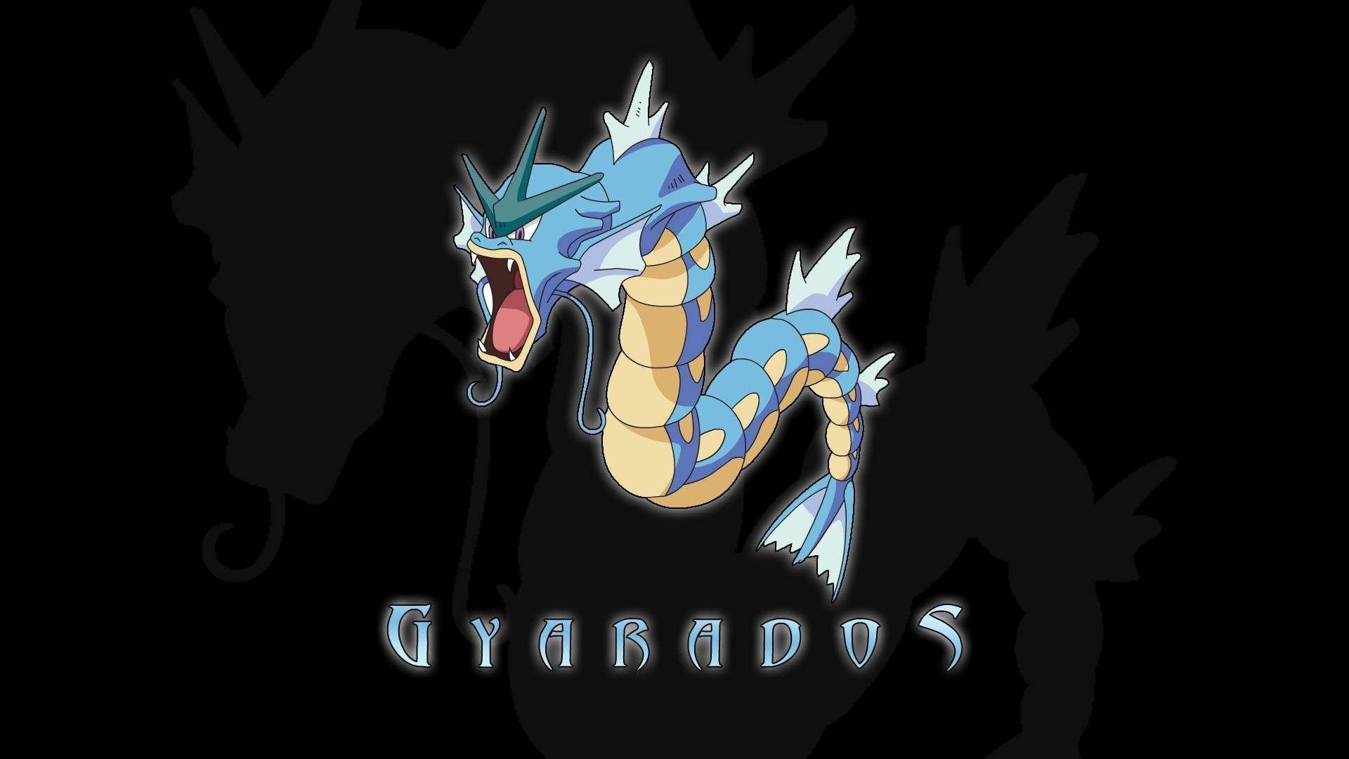 Poster, Gyarados Wallpaper, 1920x1080 Full HD Desktop