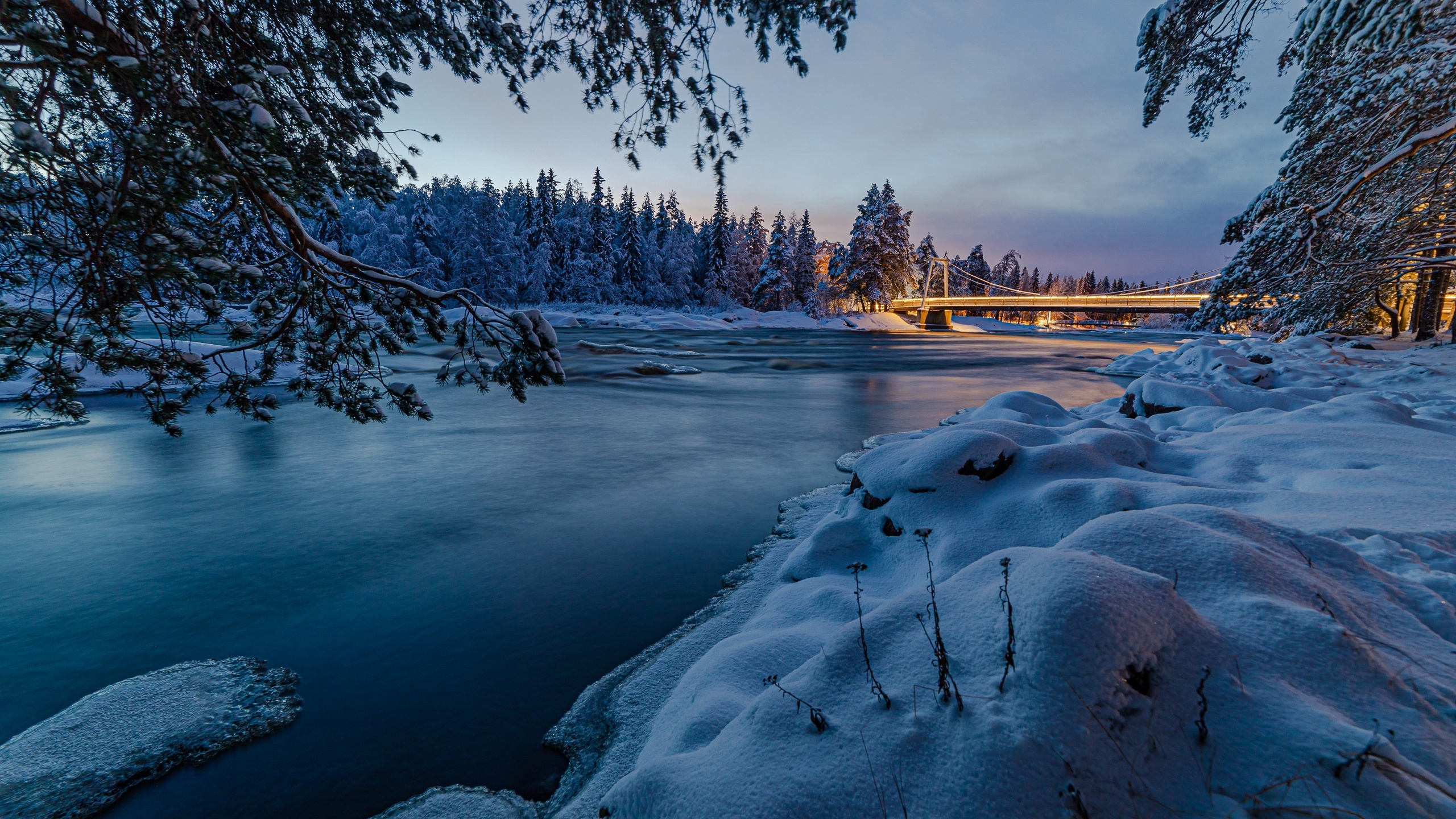 Rivers forests Finland, 4K resolution, HD wallpapers, 2560x1440 HD Desktop